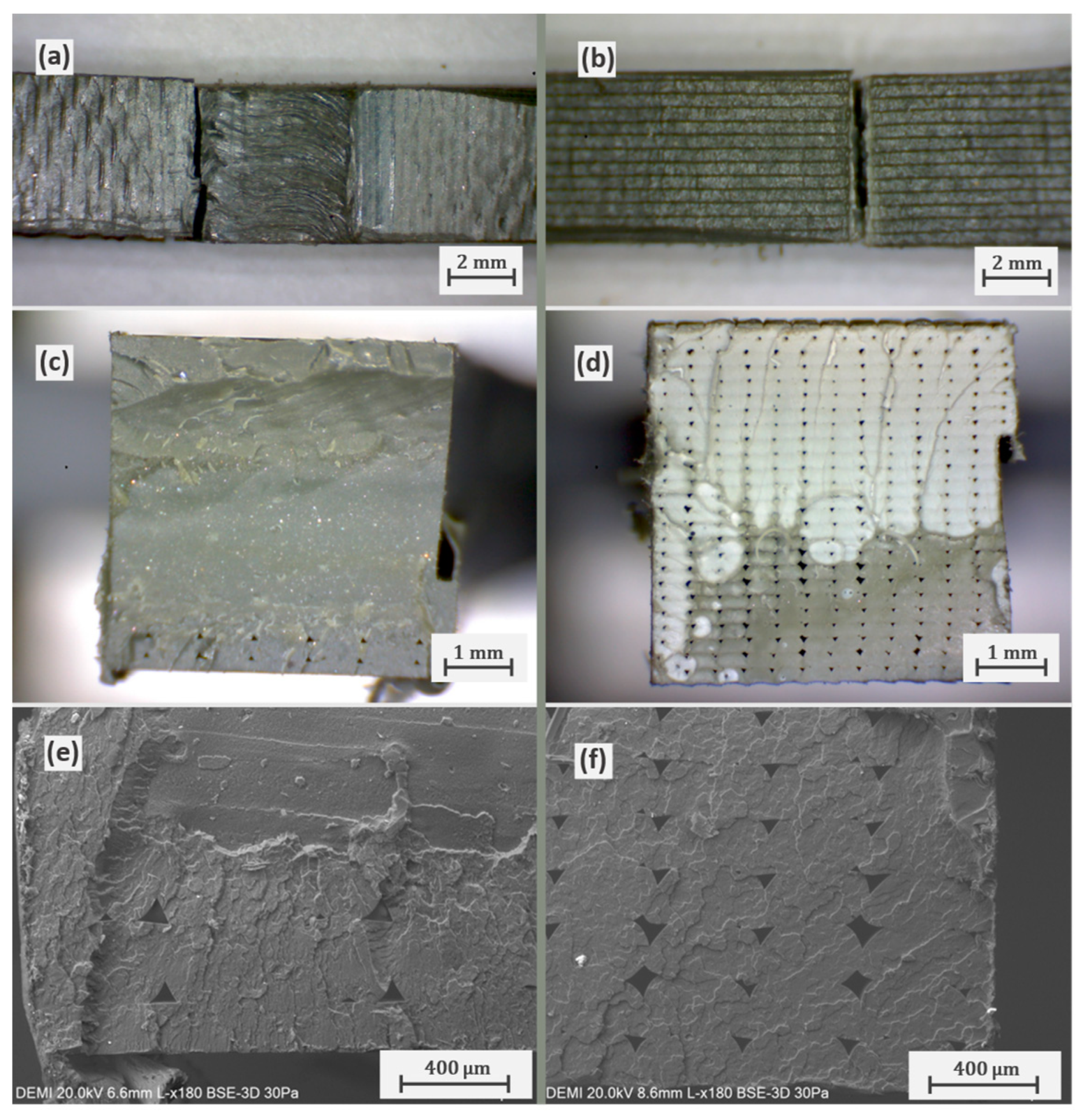 Polymers 16 01897 g005