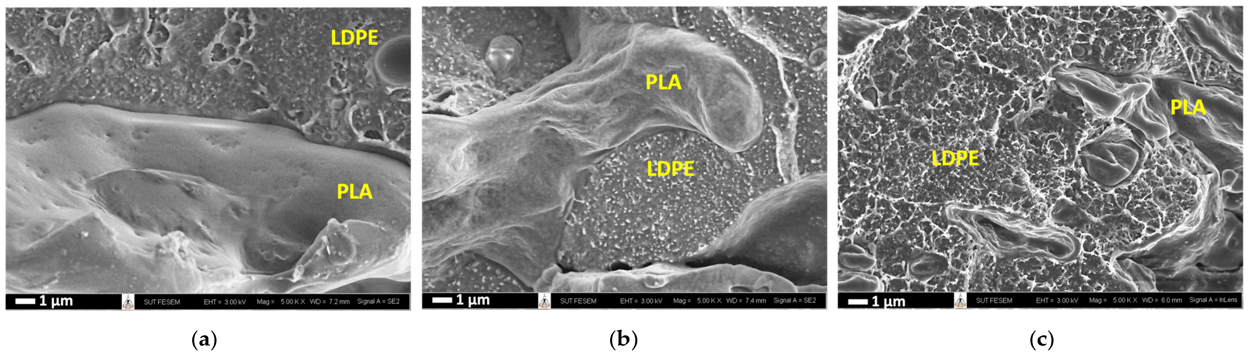 Polymers 16 01906 g003