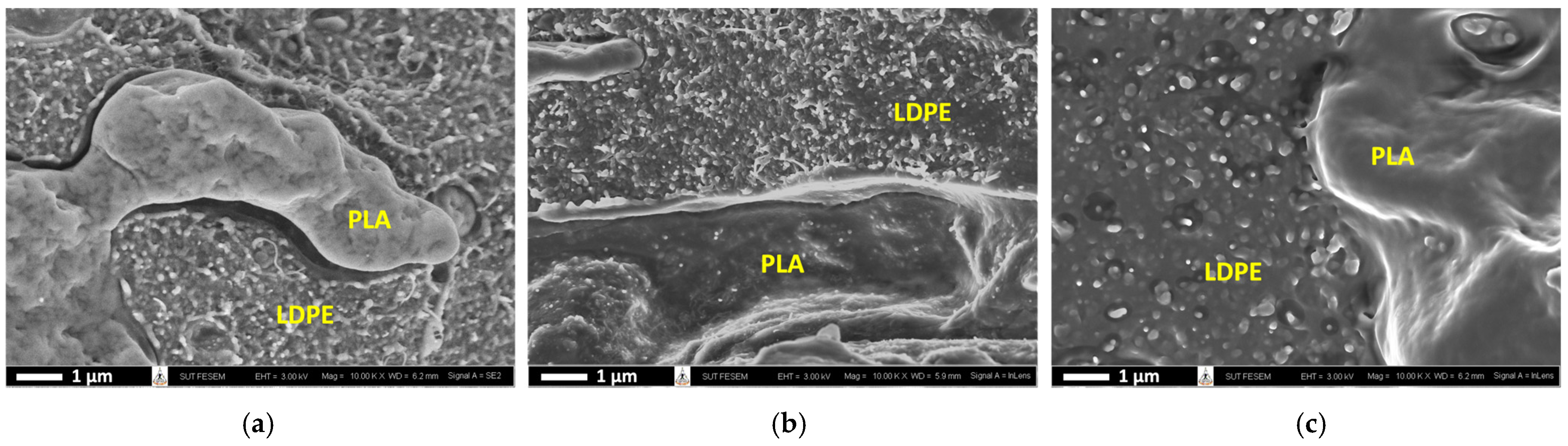 Polymers 16 01906 g008