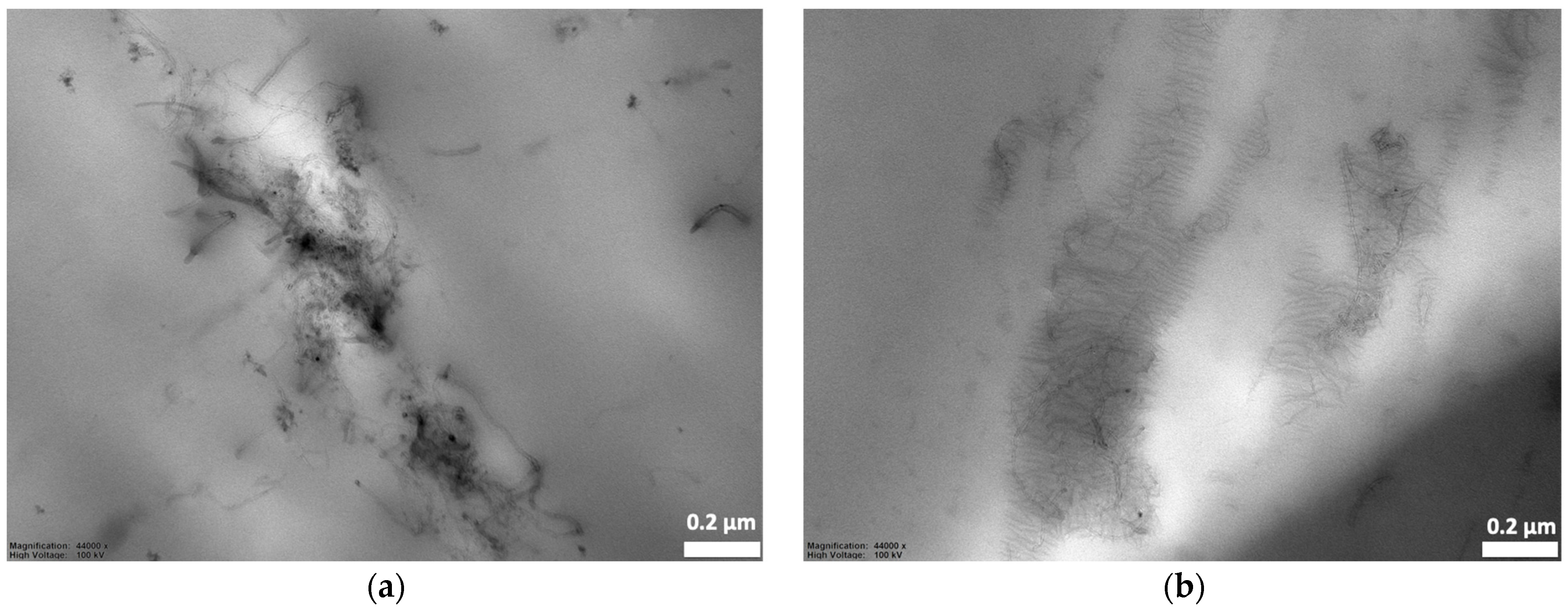 Polymers 16 01906 g010