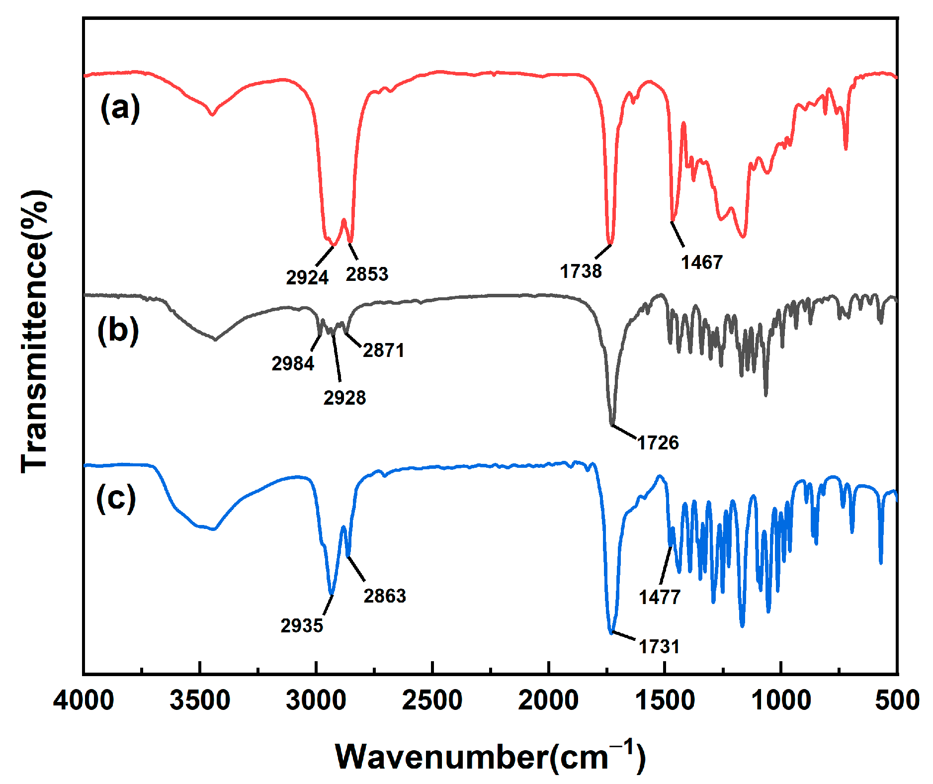 Polymers 16 01911 g001