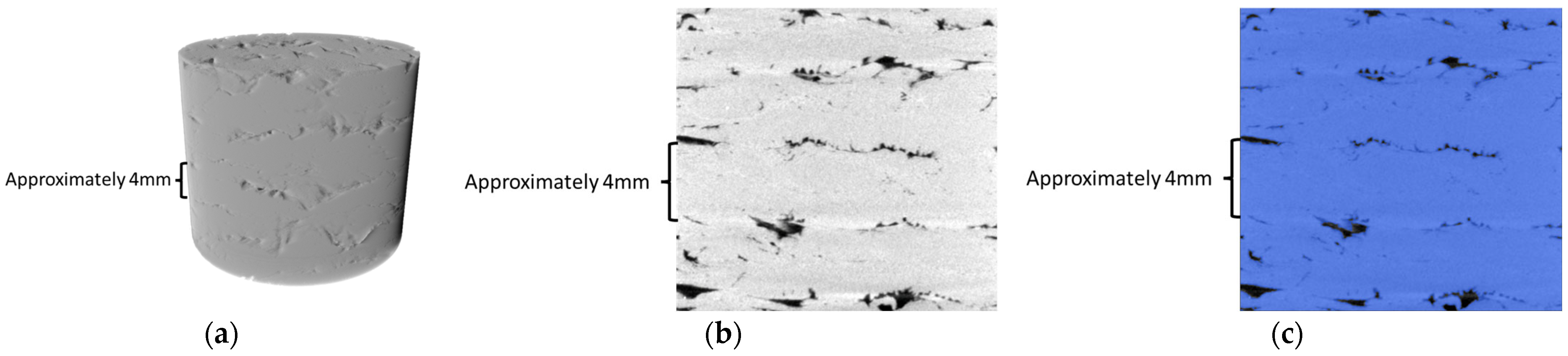 Polymers 16 01913 g006
