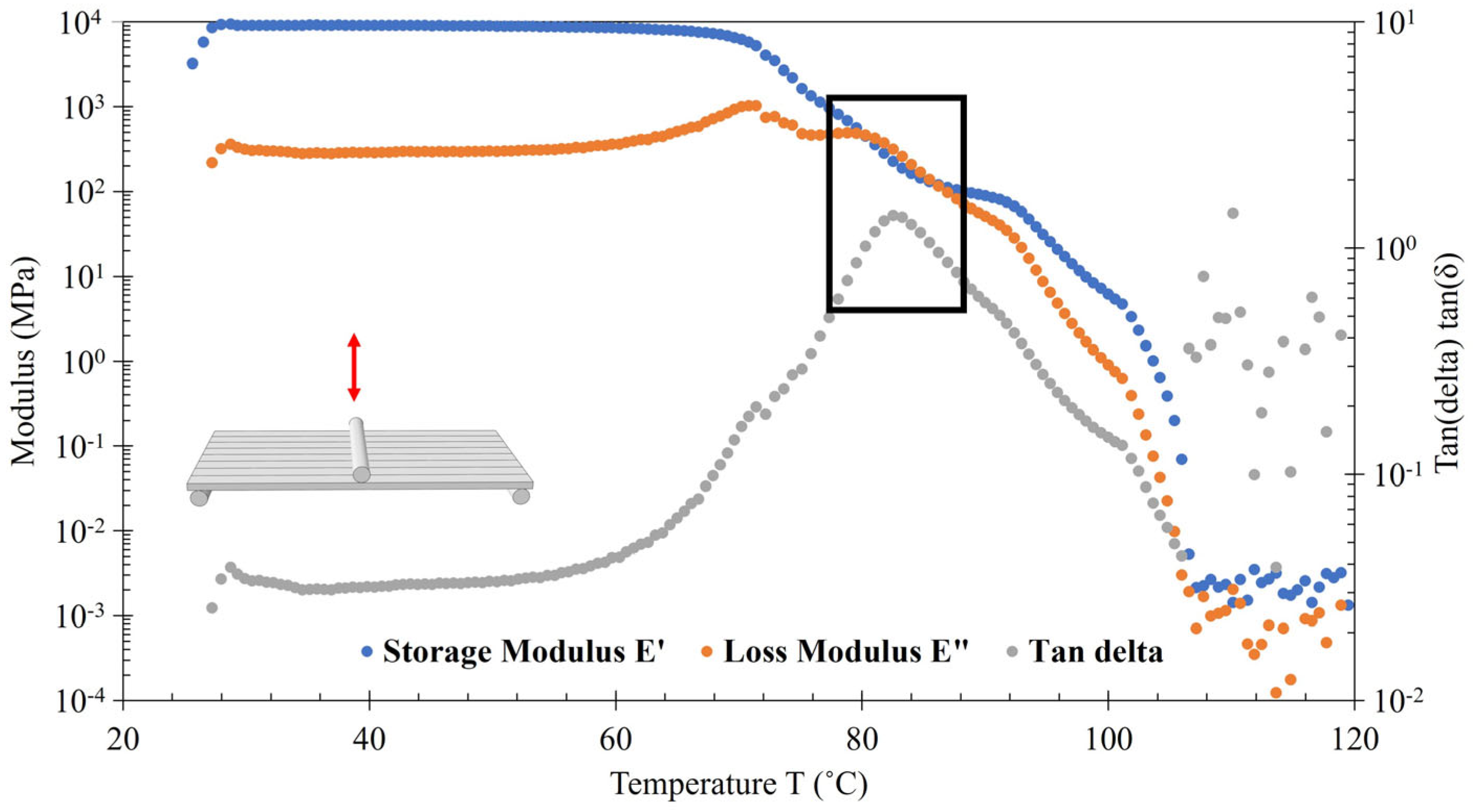 Polymers 16 01913 g008