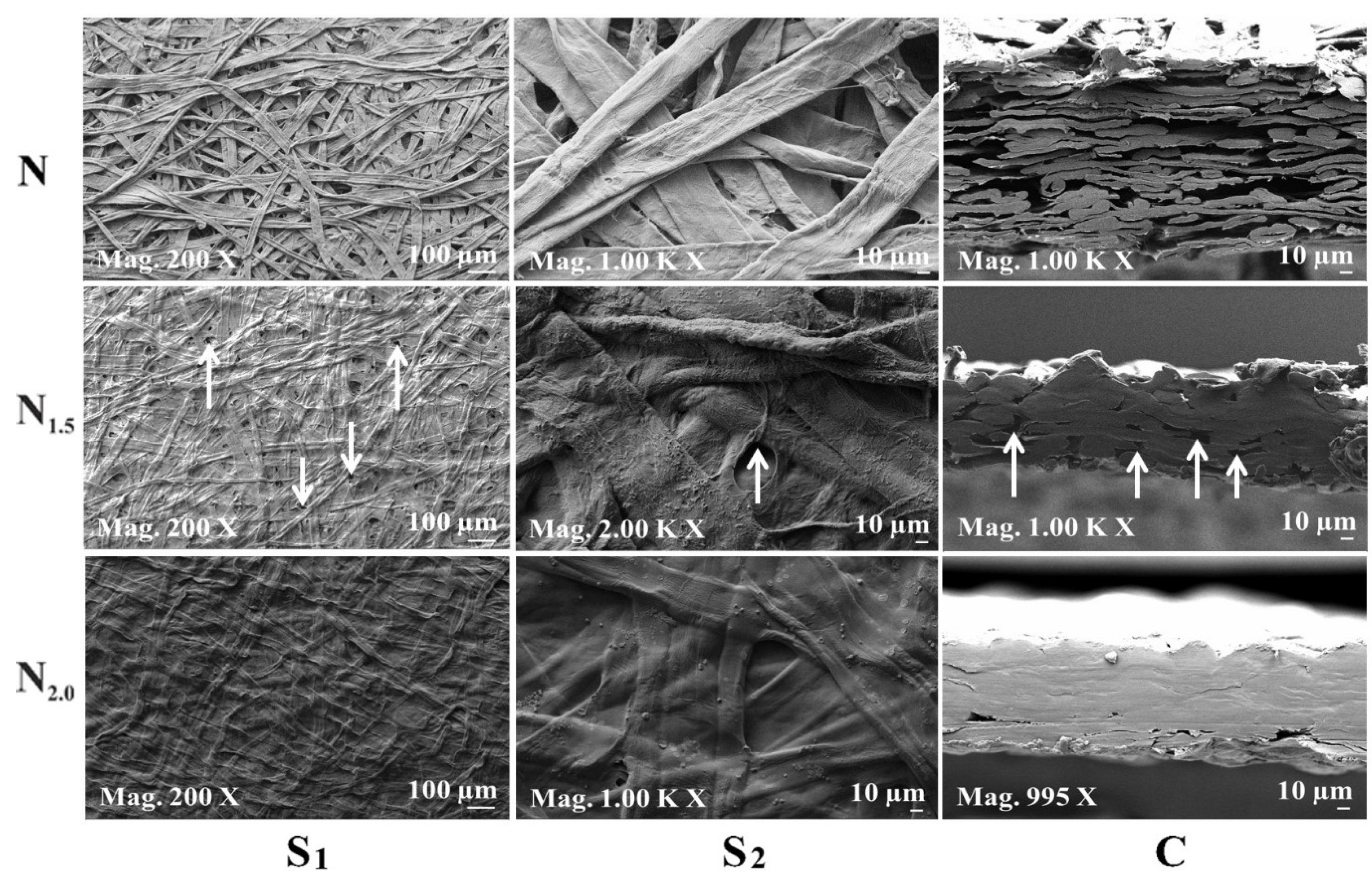 Polymers 16 01921 g002b