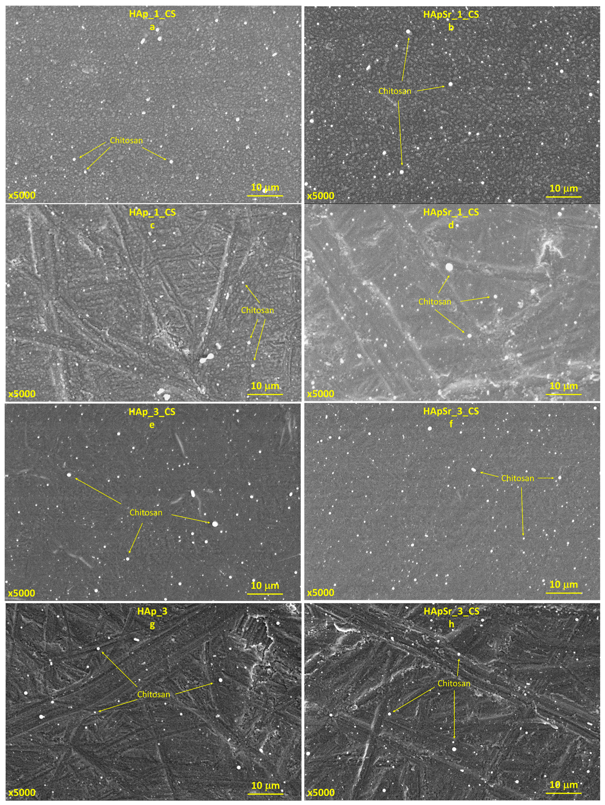 Polymers 16 01922 g009