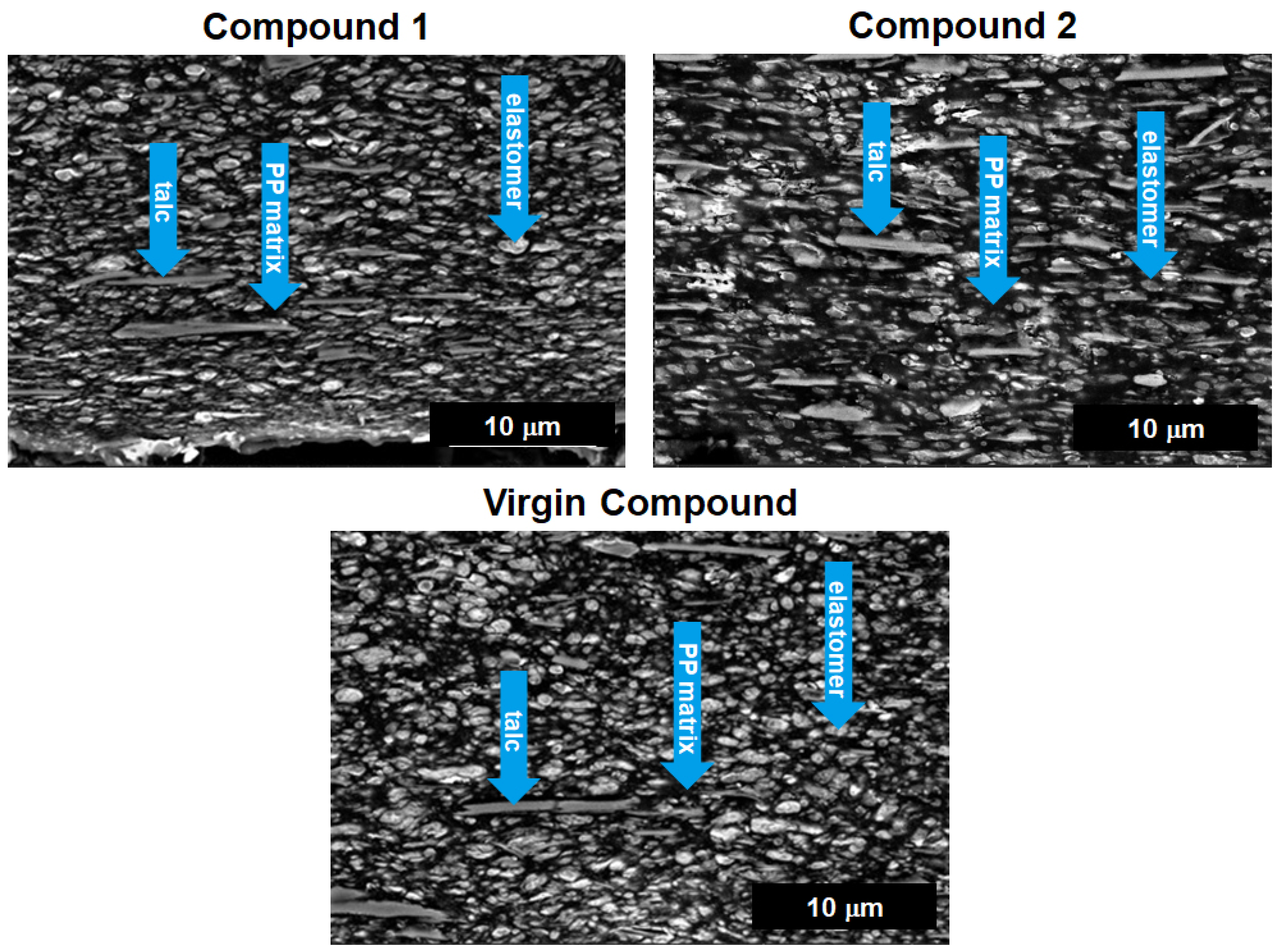 Polymers 16 01927 g004