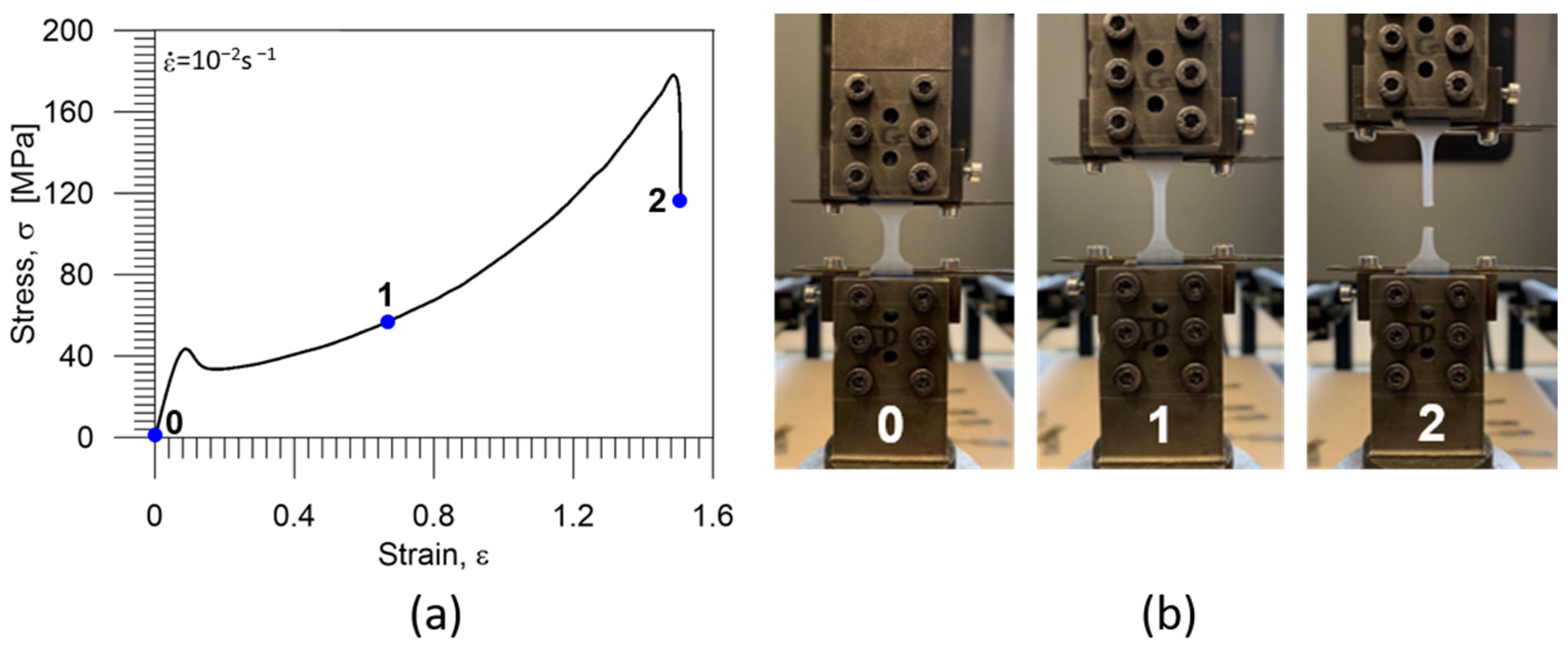 Polymers 16 01930 g005
