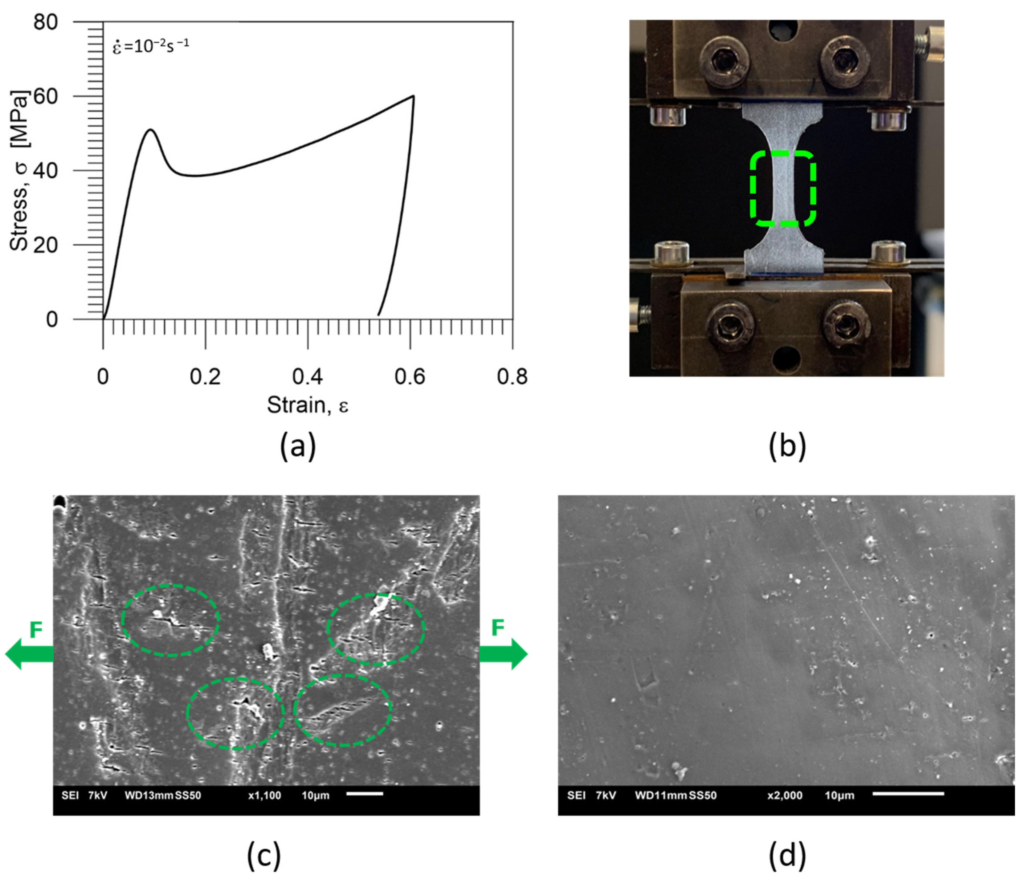 Polymers 16 01930 g008