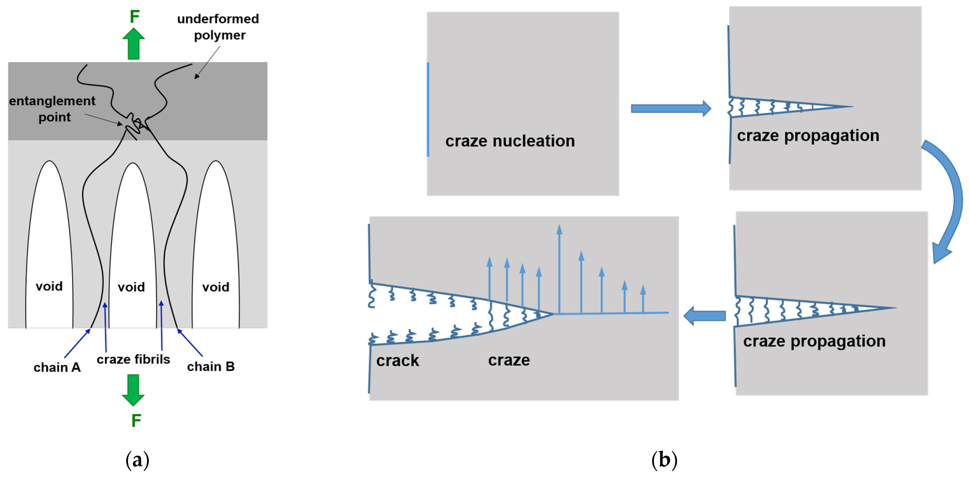 Polymers 16 01930 g012