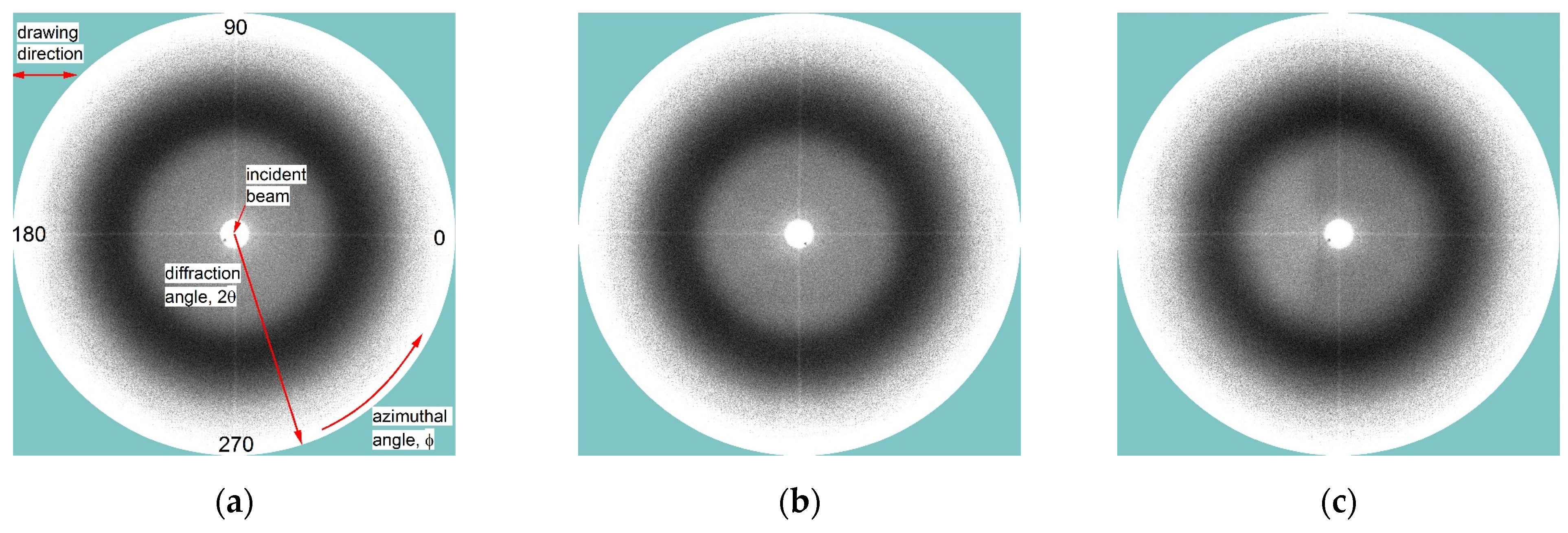 Polymers 16 01930 g013
