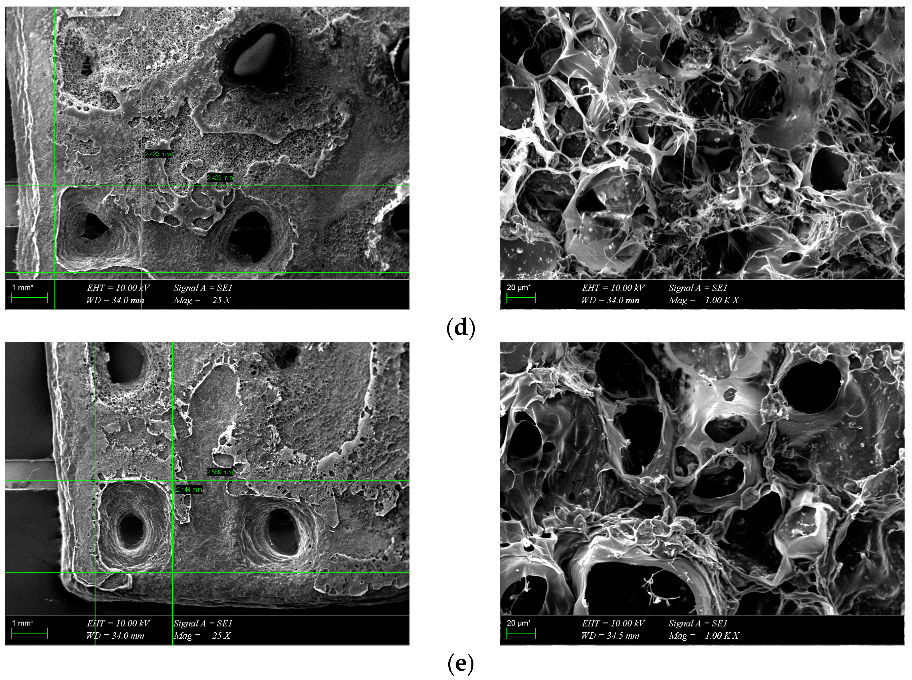 Polymers 16 01932 g005b