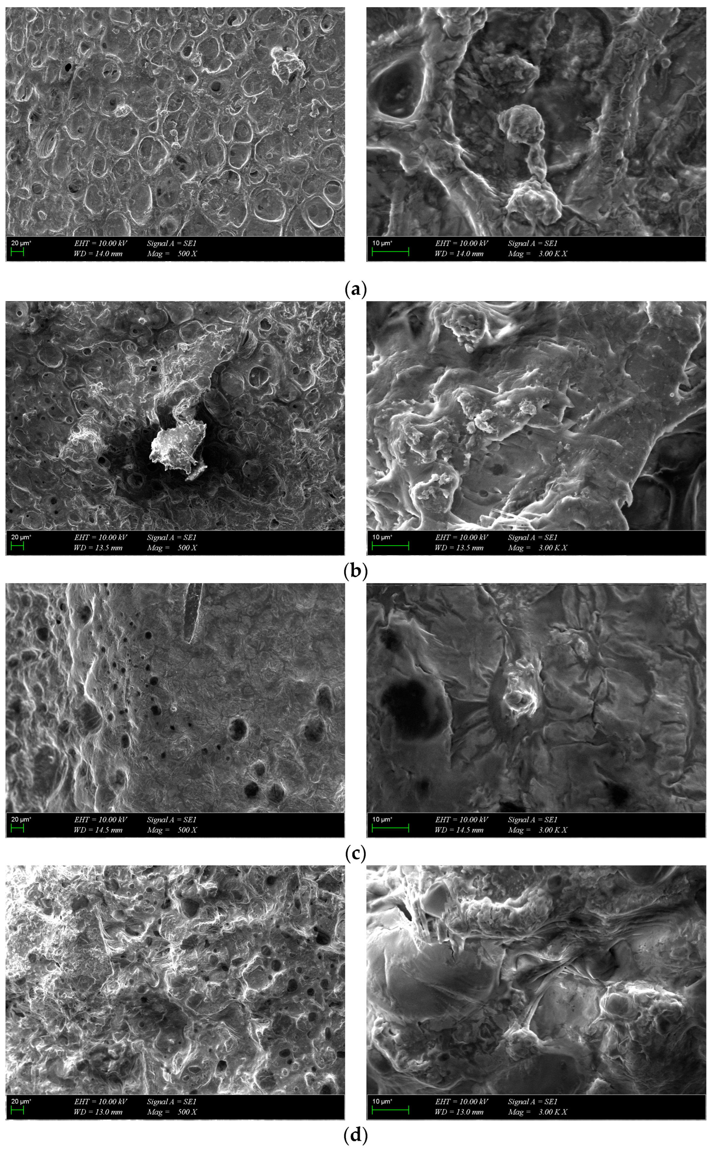 Polymers 16 01932 g011