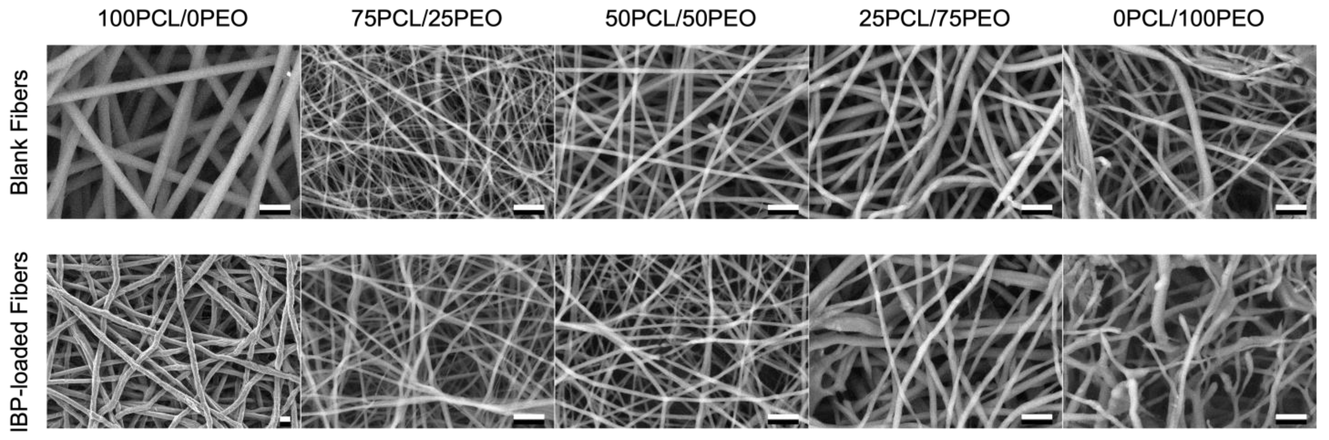 Polymers 16 01934 g002