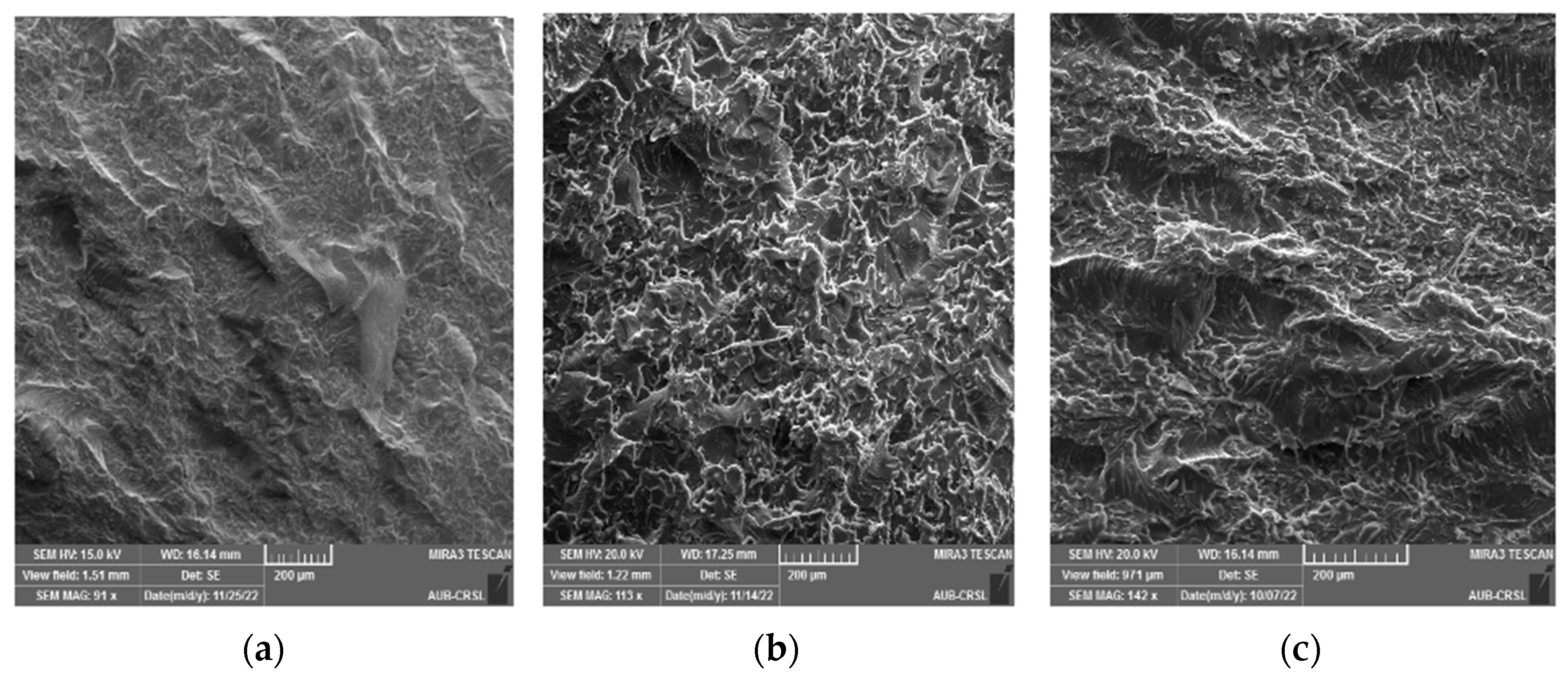 Polymers 16 01935 g007