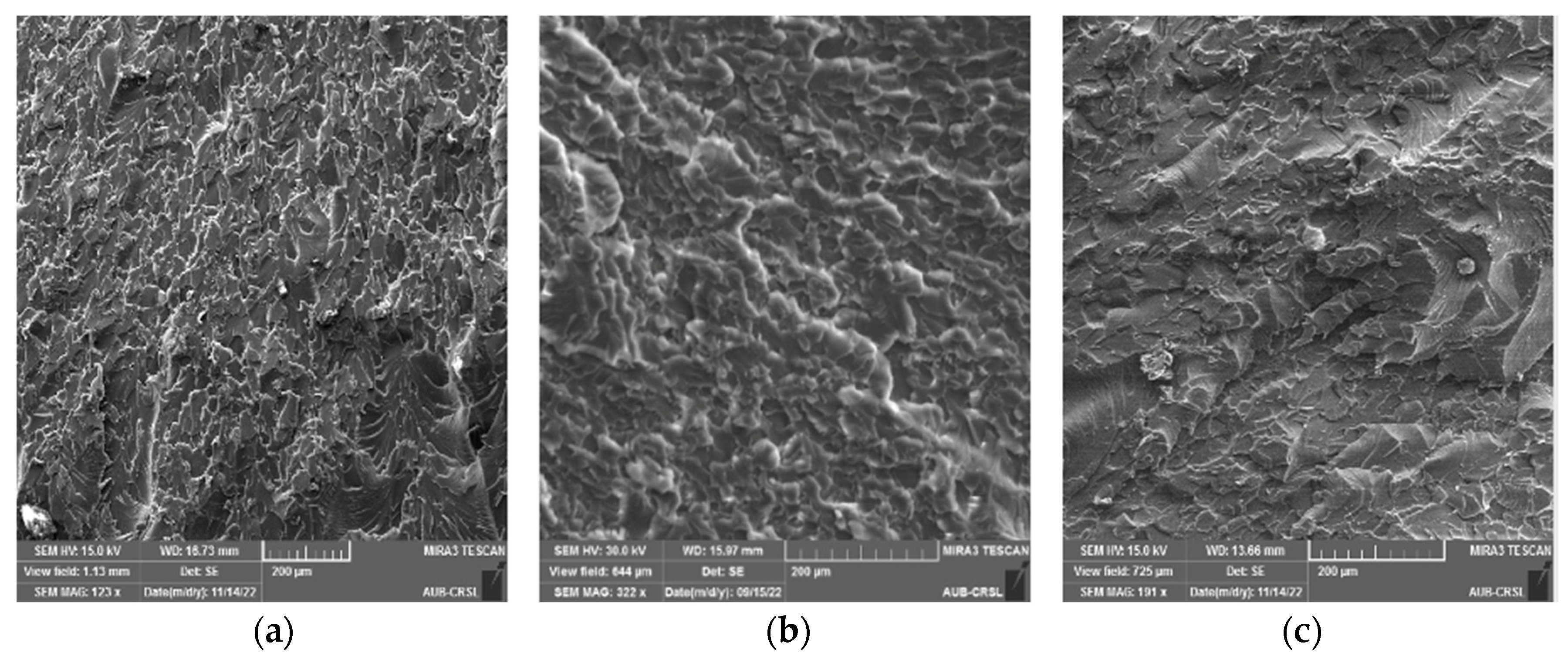 Polymers 16 01935 g008