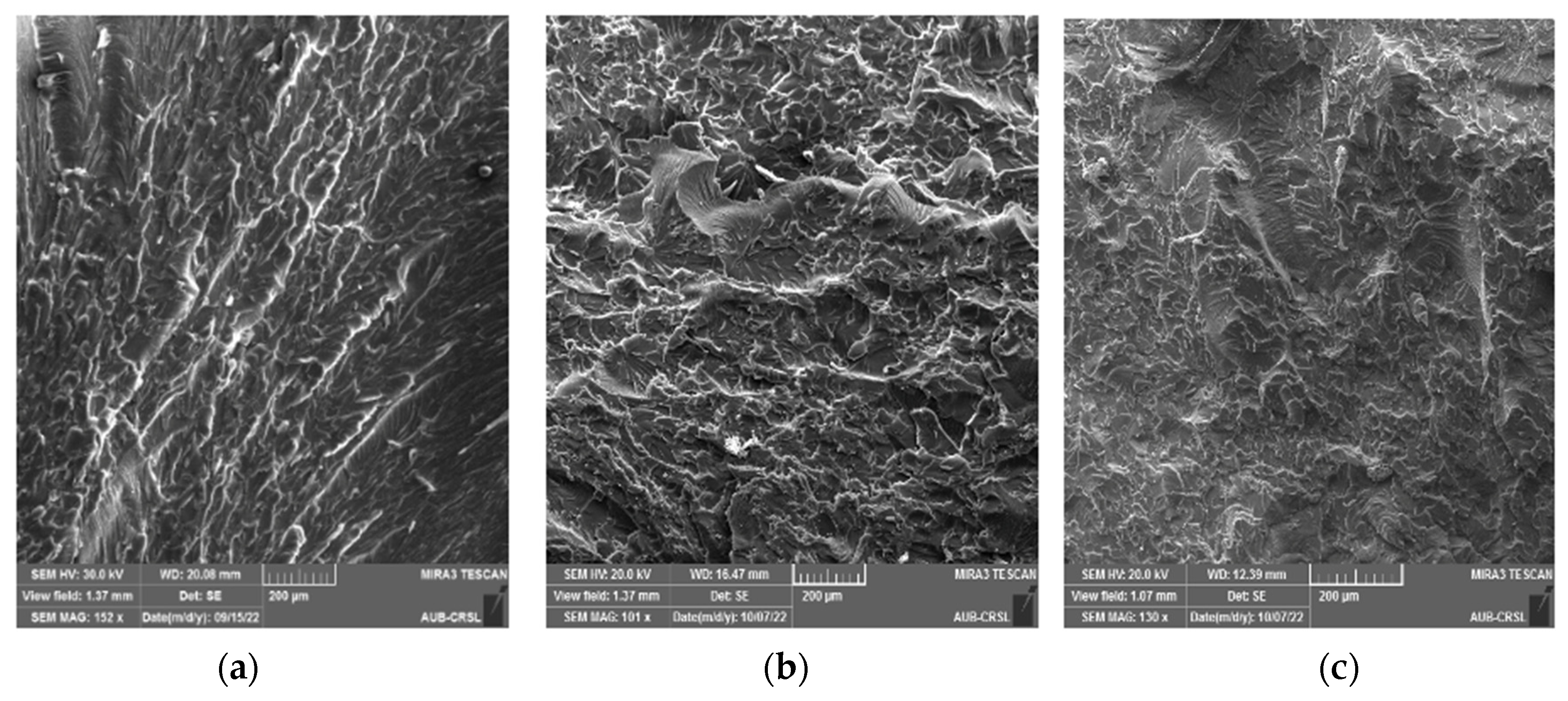 Polymers 16 01935 g009