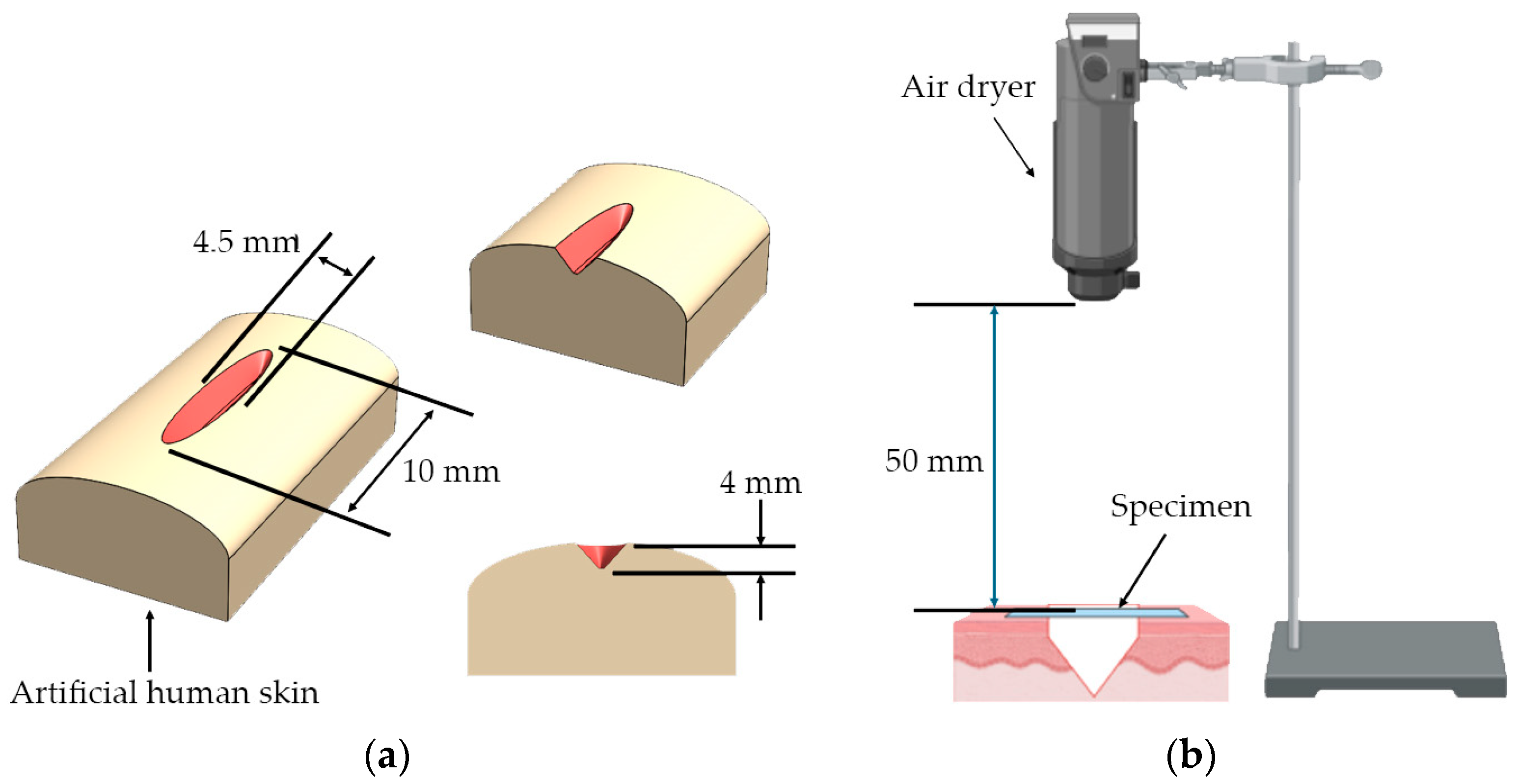 Polymers 16 01941 g002
