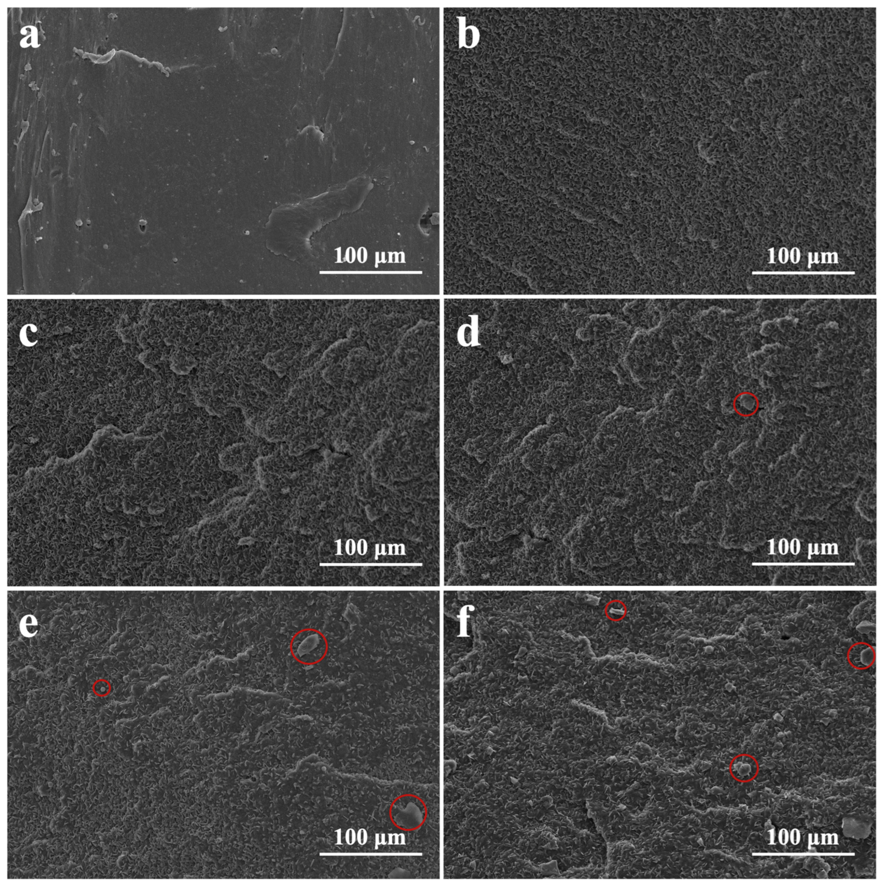 Polymers 16 01945 g003