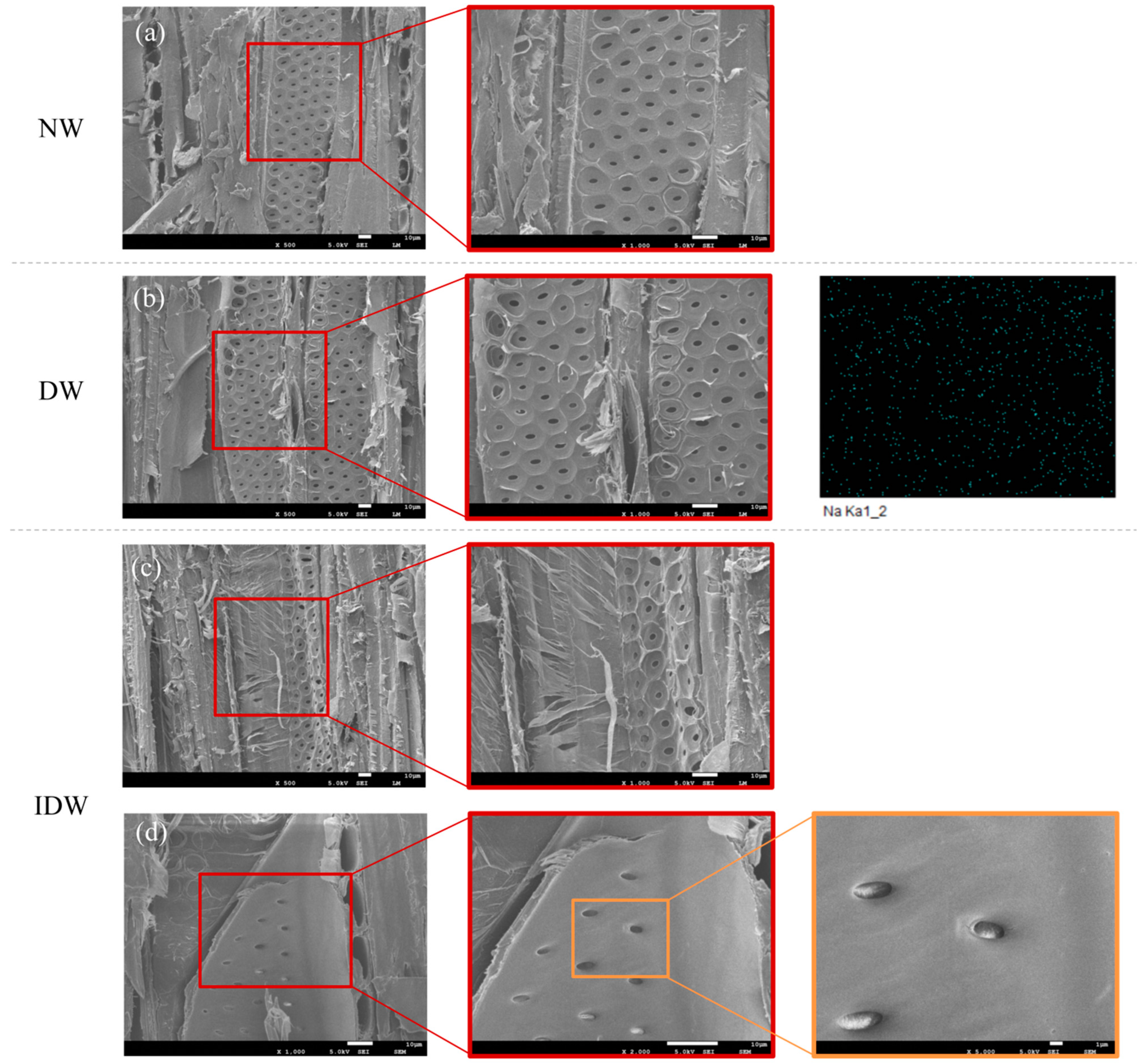 Polymers 16 01949 g003