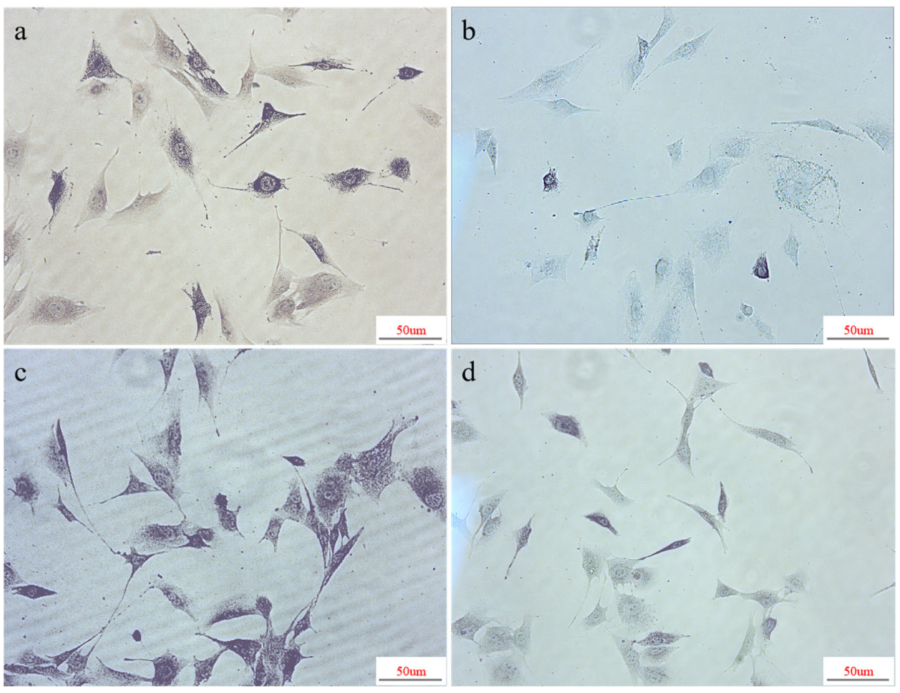 Polymers 16 01952 g015