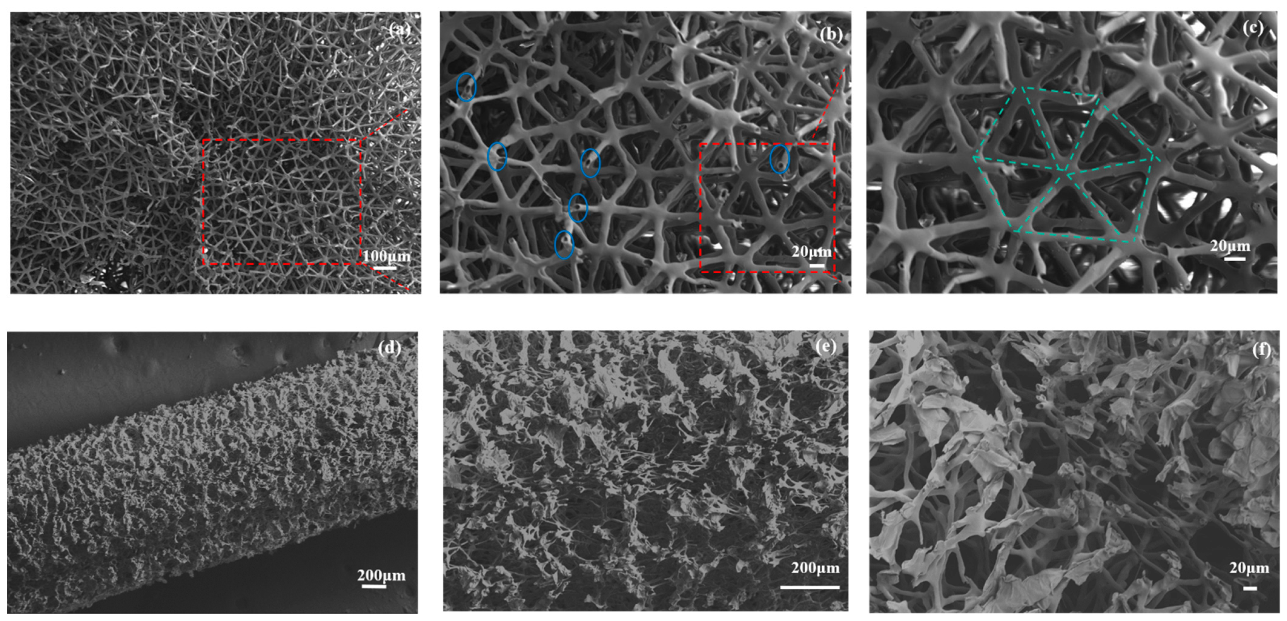 Polymers 16 01953 g004