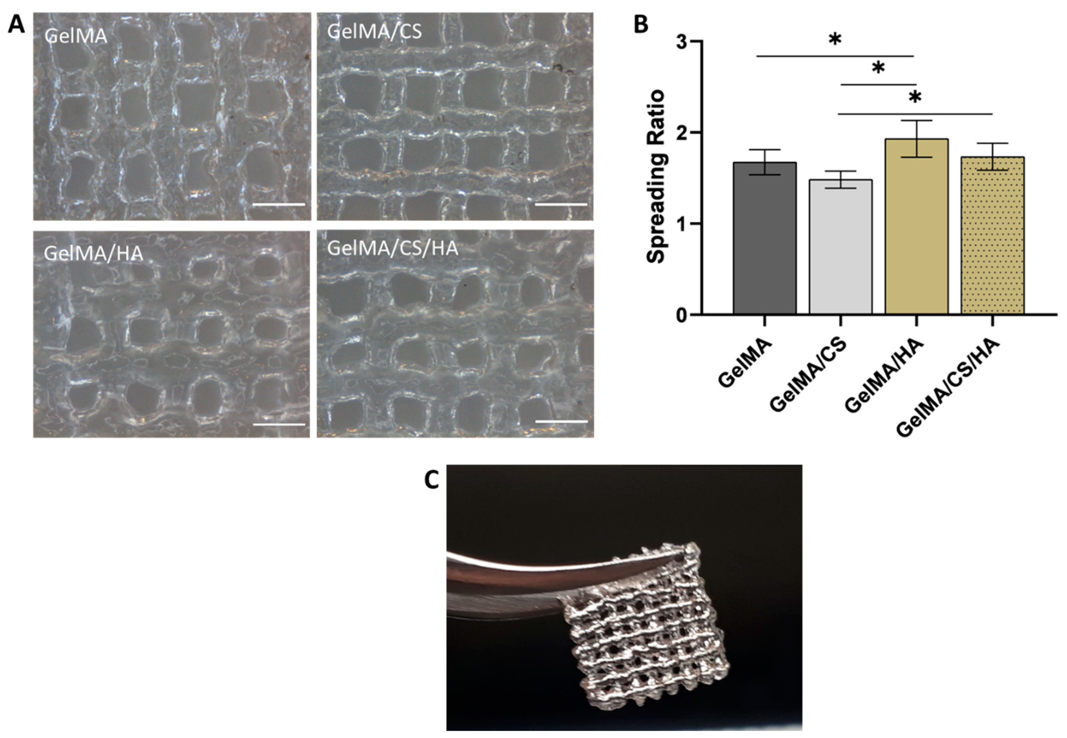 Polymers 16 01958 g004