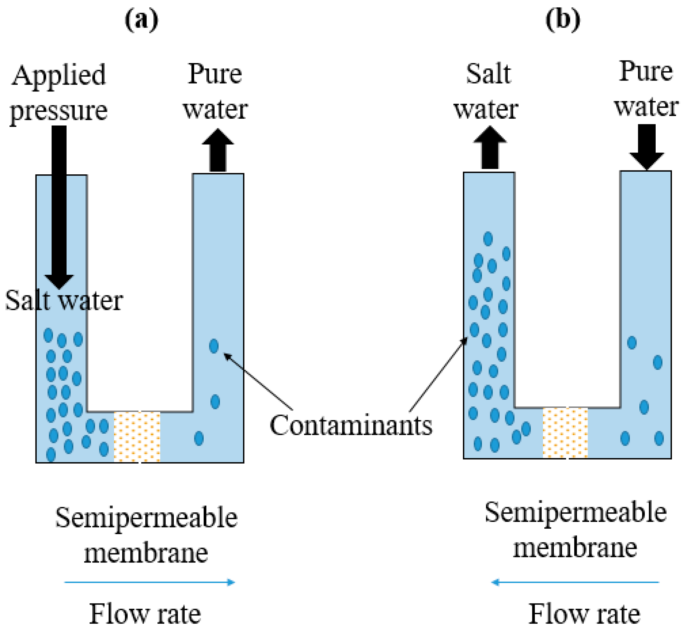 Polymers 