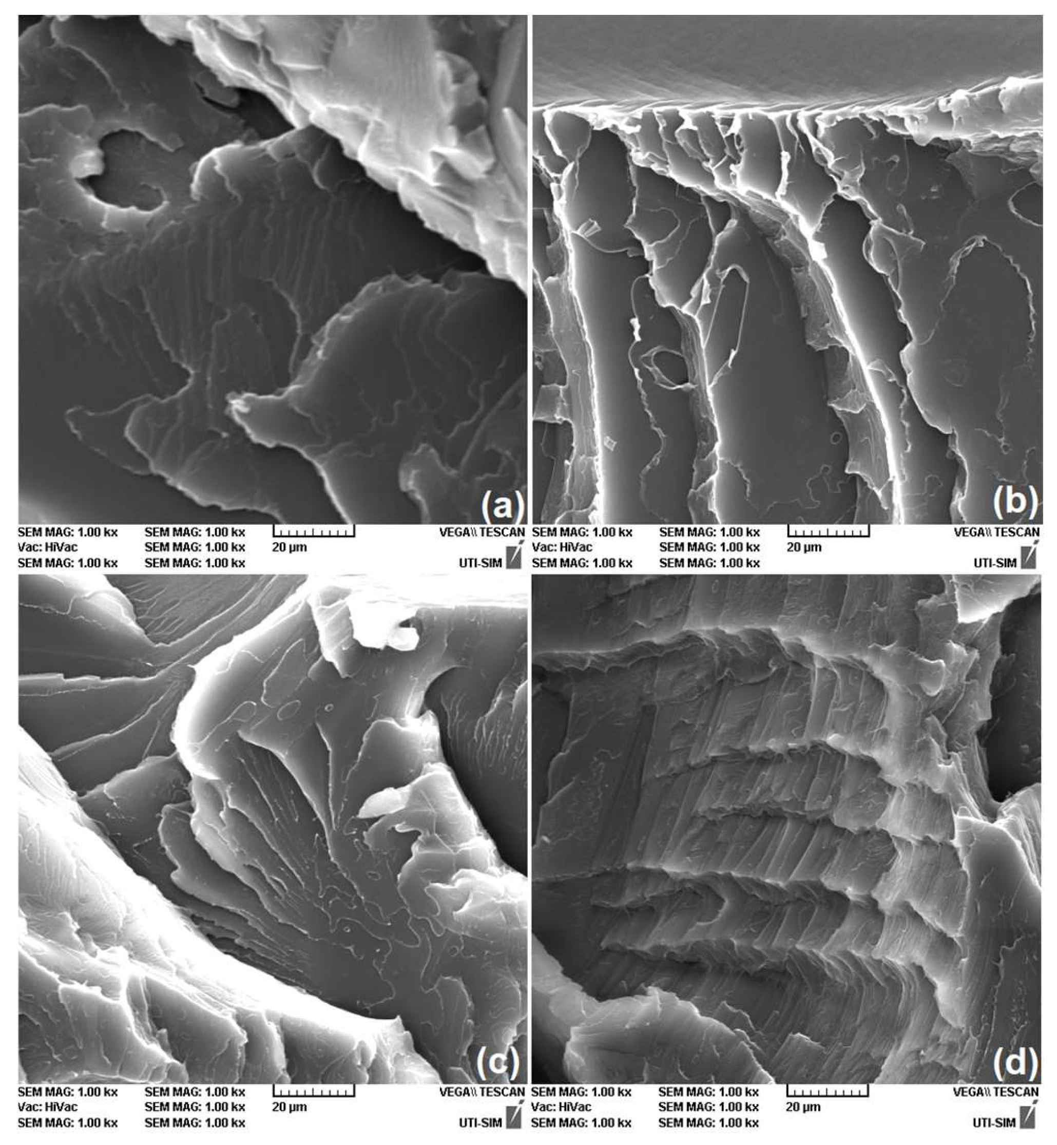Polymers 16 01965 g006