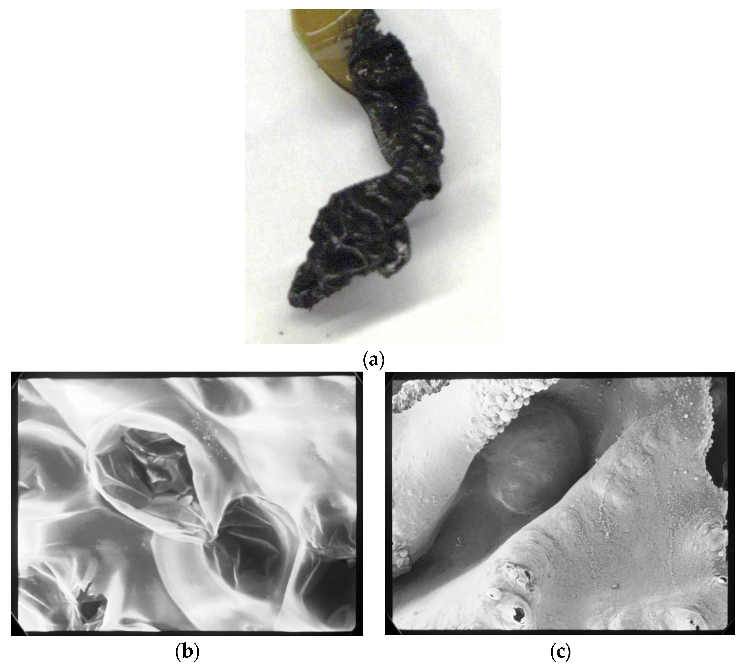 Polymers 16 01967 g005