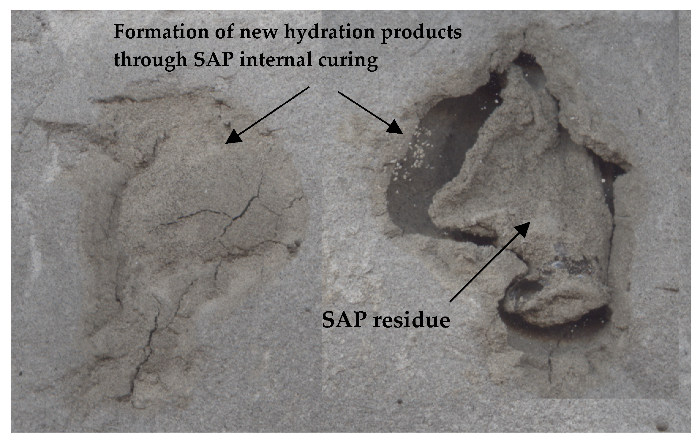 Polymers 16 01970 g013