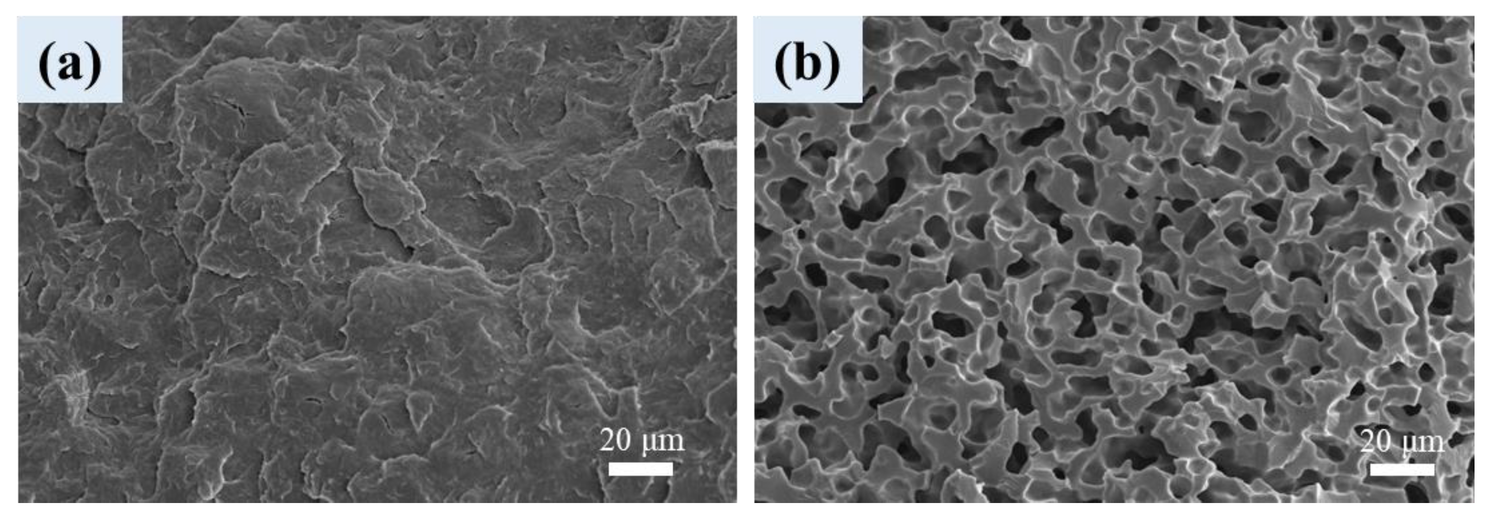Polymers 16 01971 g006