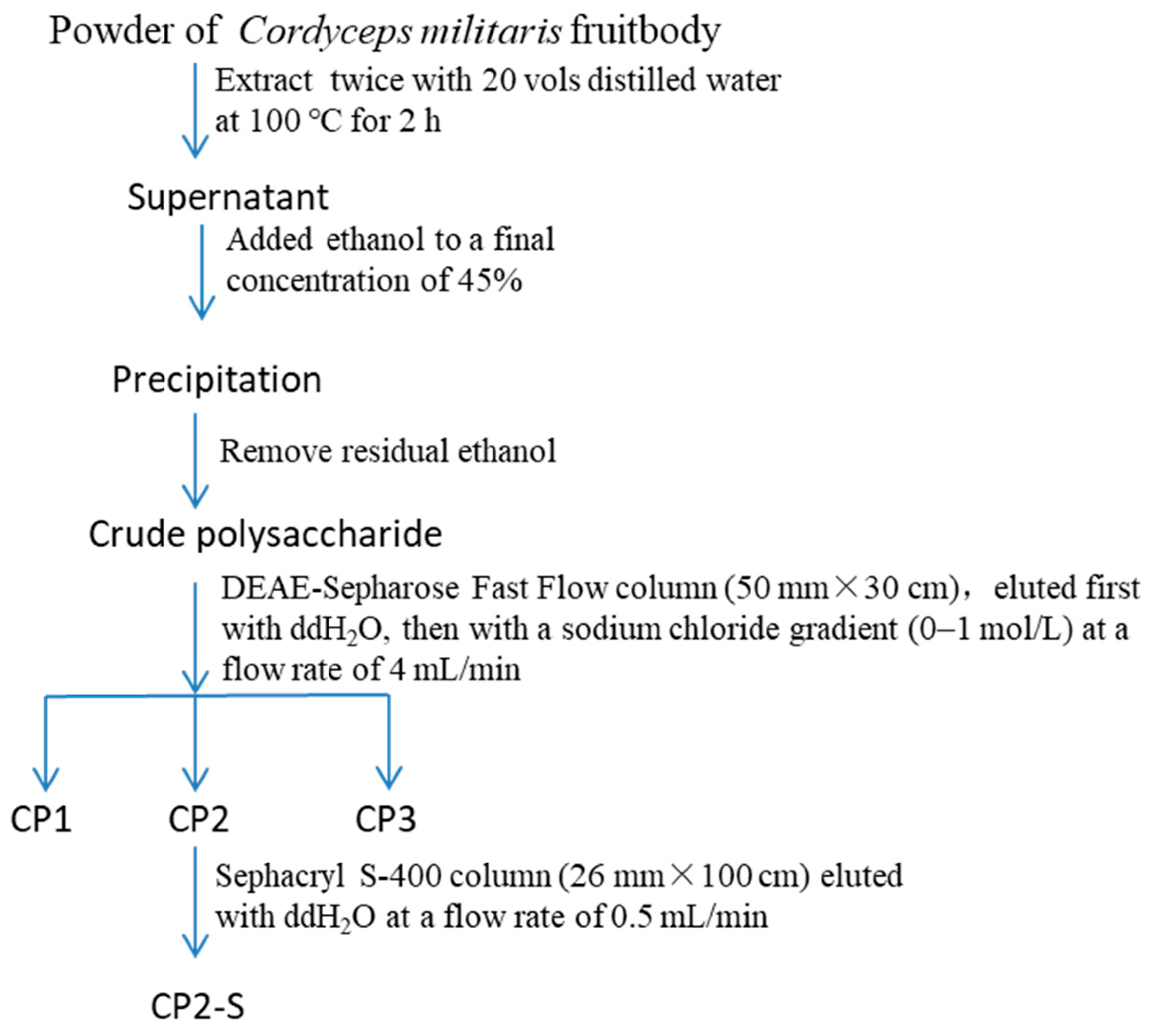 Polymers 16 01972 g001