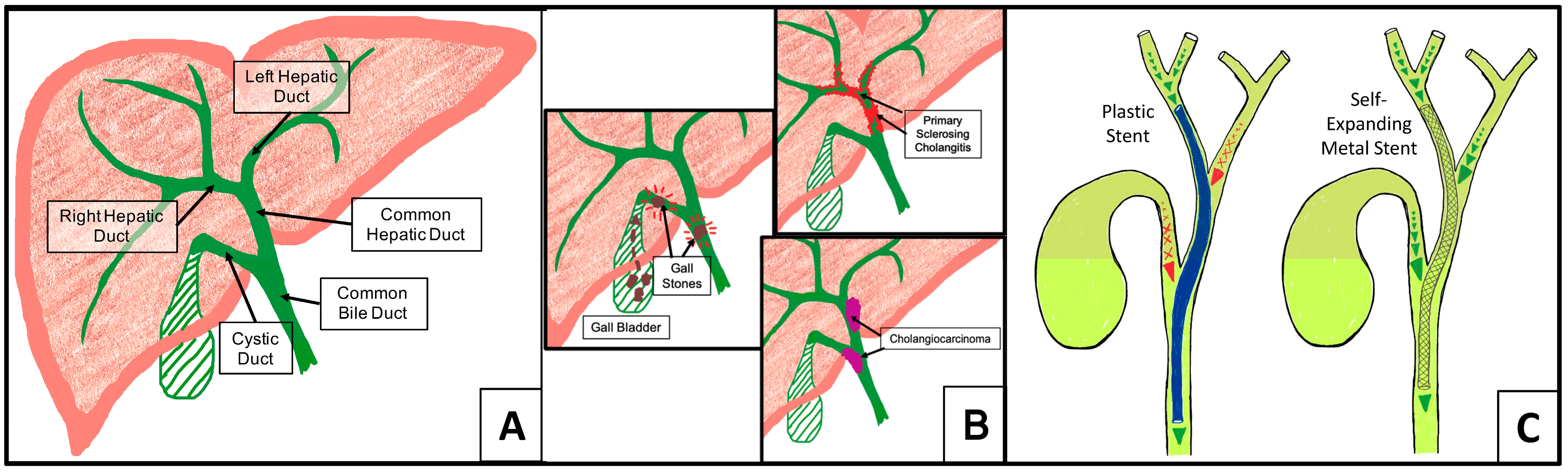 Polymers 16 01978 g001