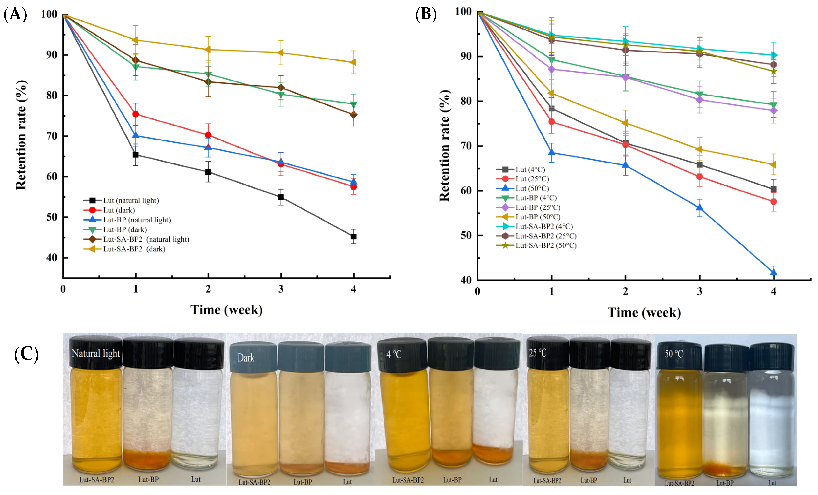Polymers 16 01982 g003