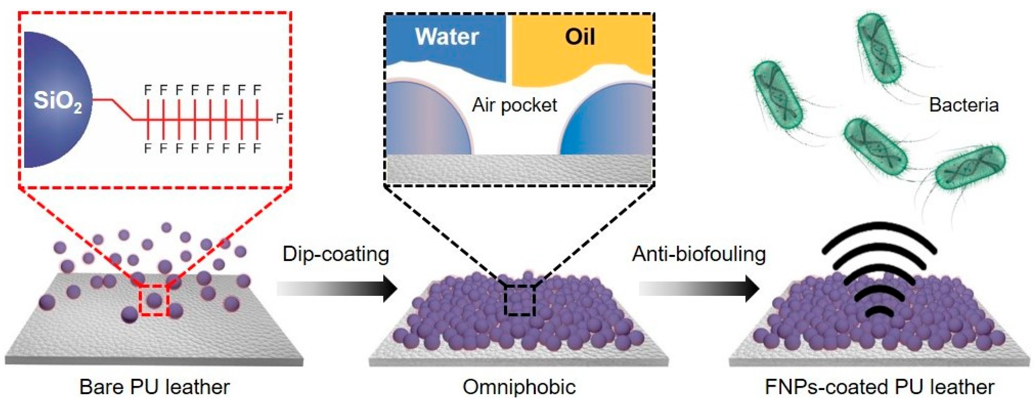 Polymers 16 01983 g001