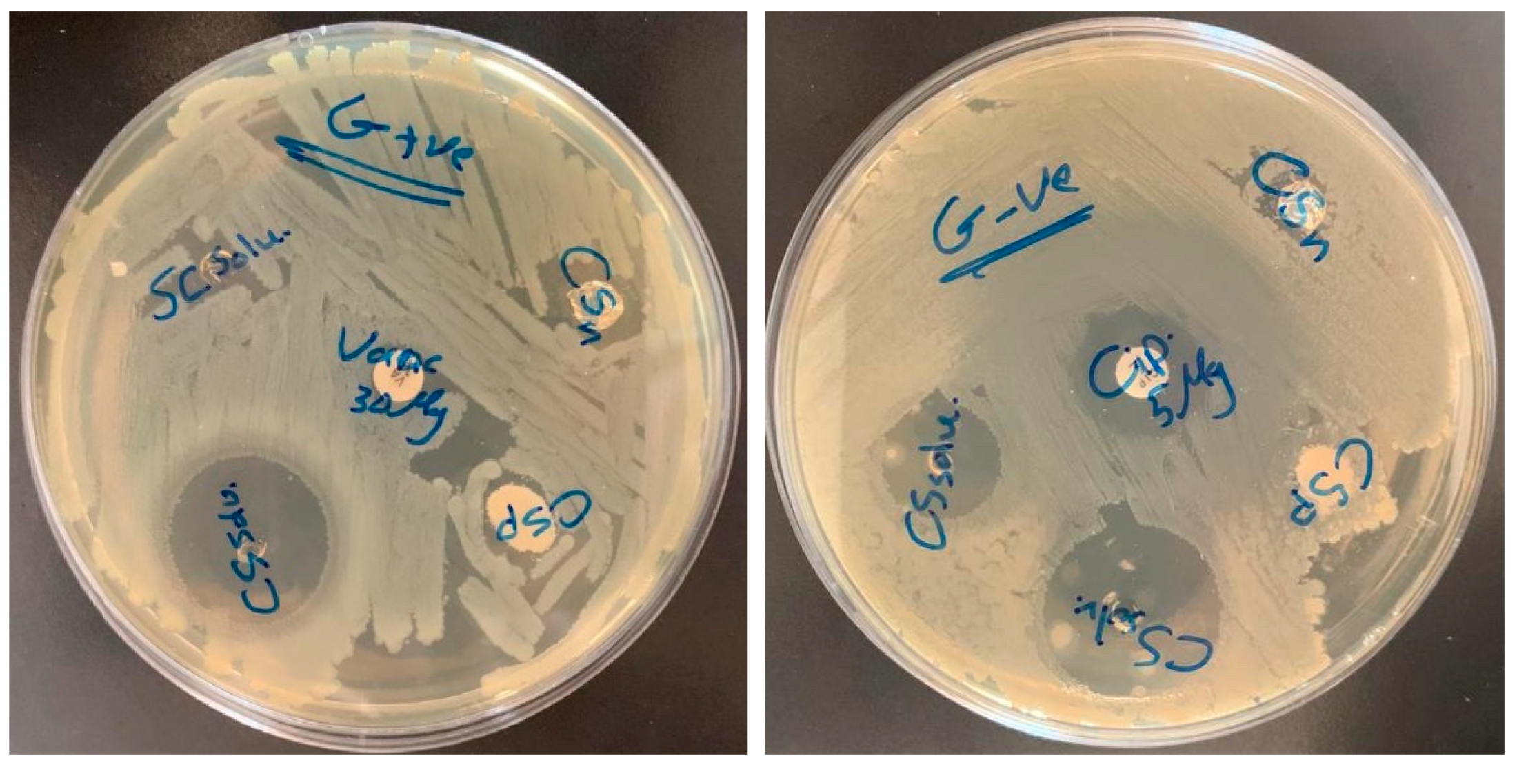 Polymers 16 01984 g018