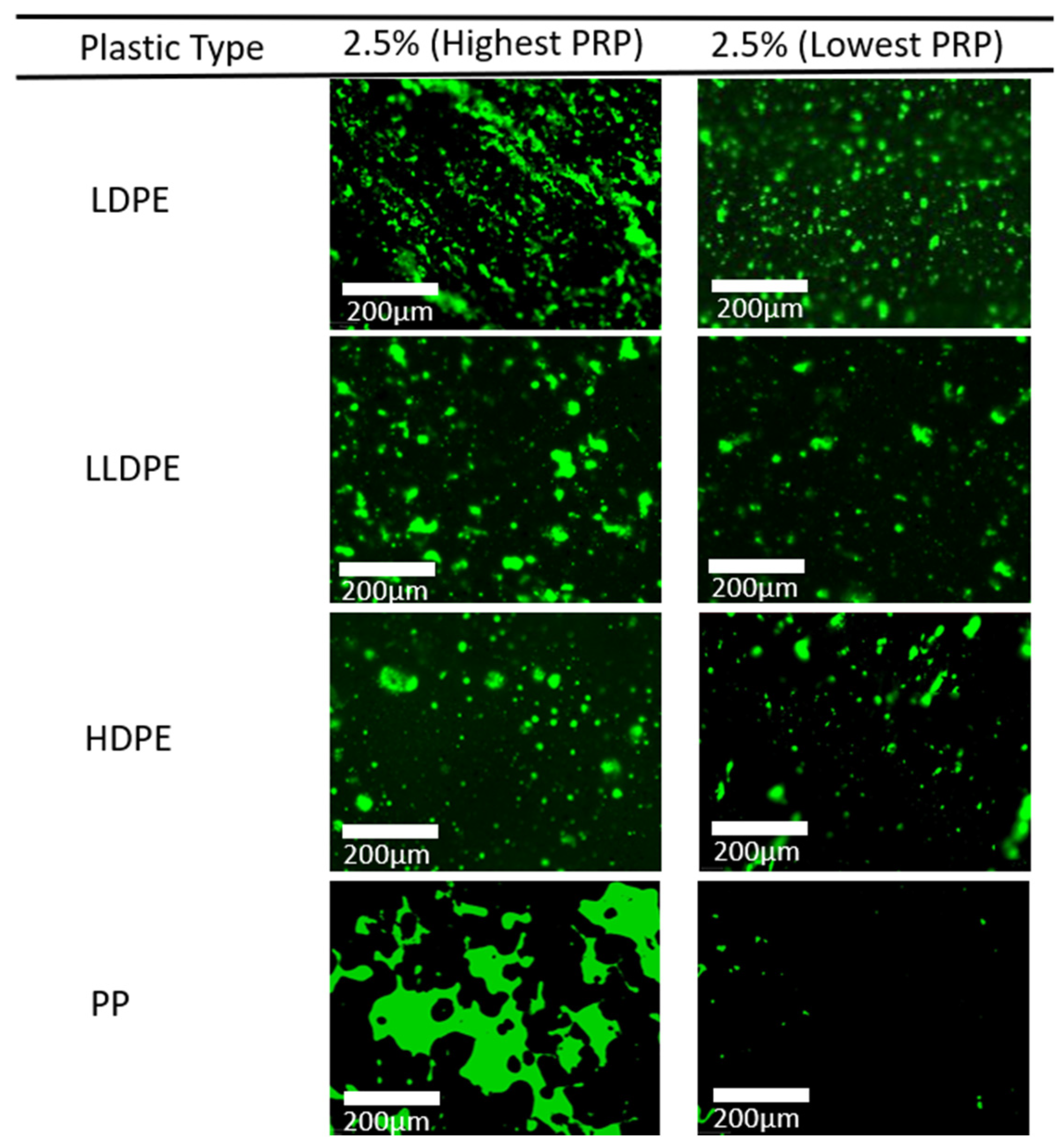Polymers 16 01987 g008