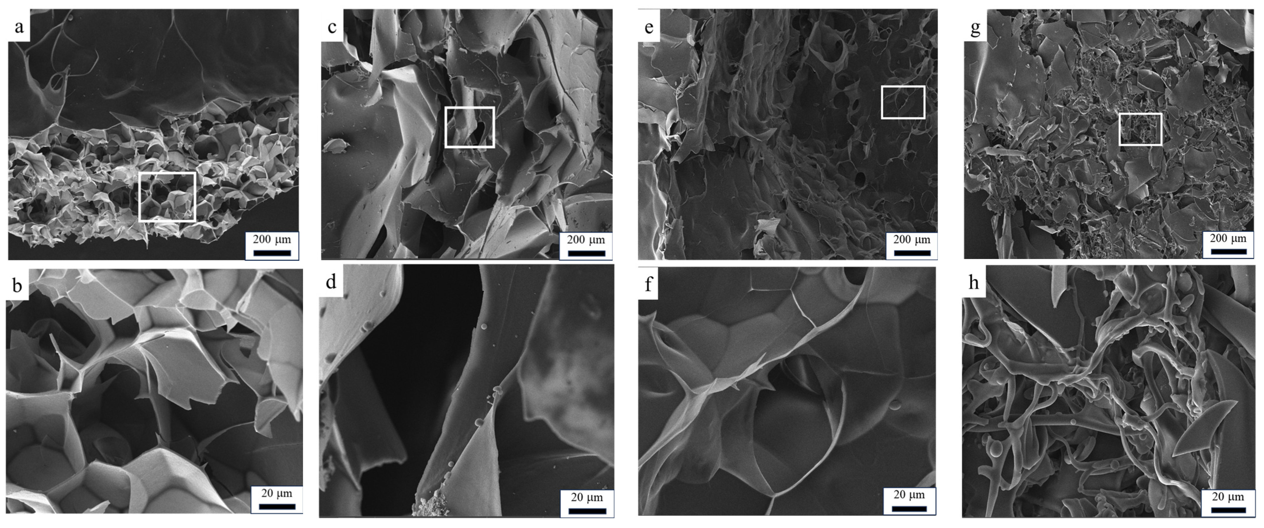 Polymers 16 01990 g006