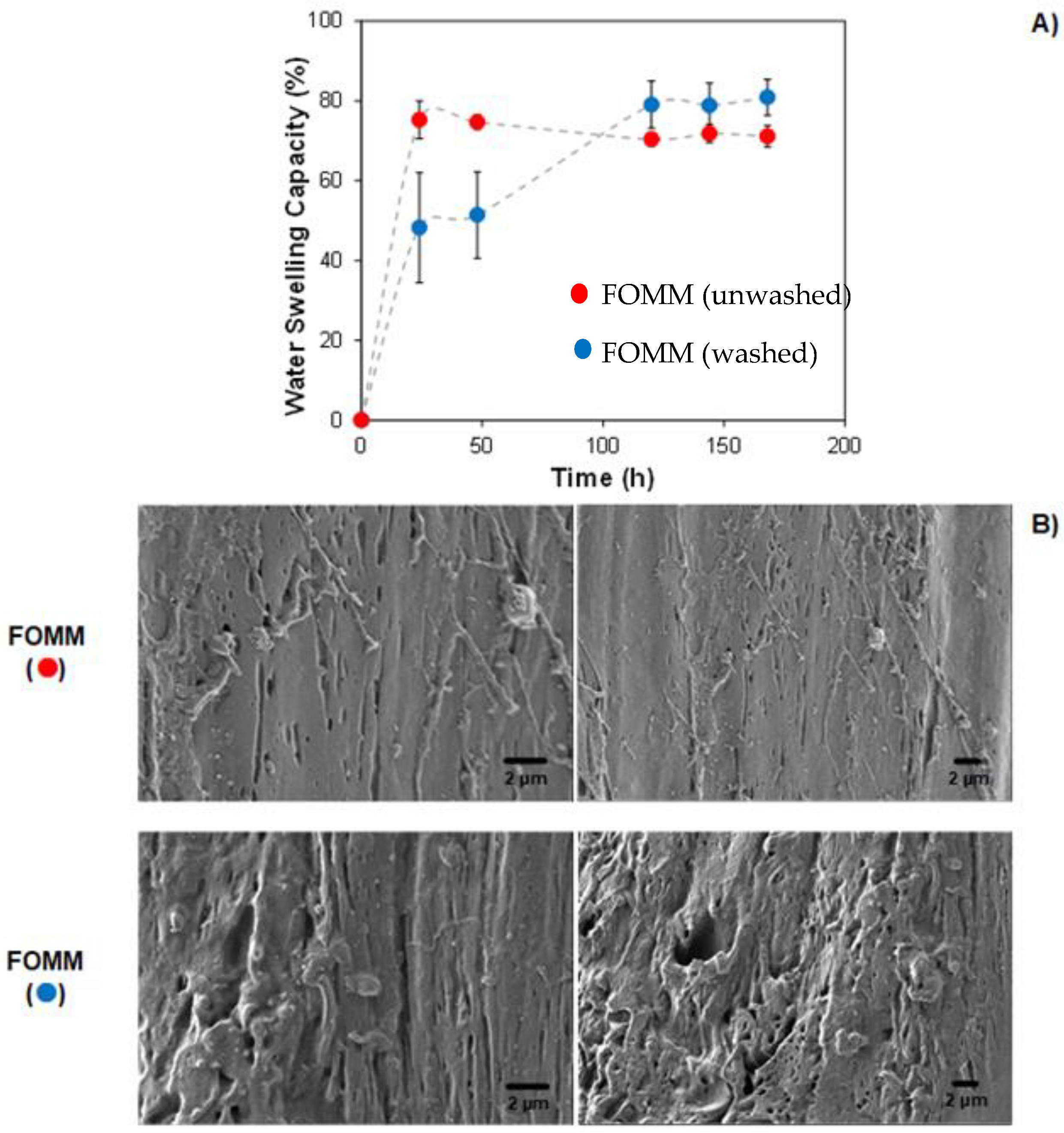 Polymers 16 01992 g004
