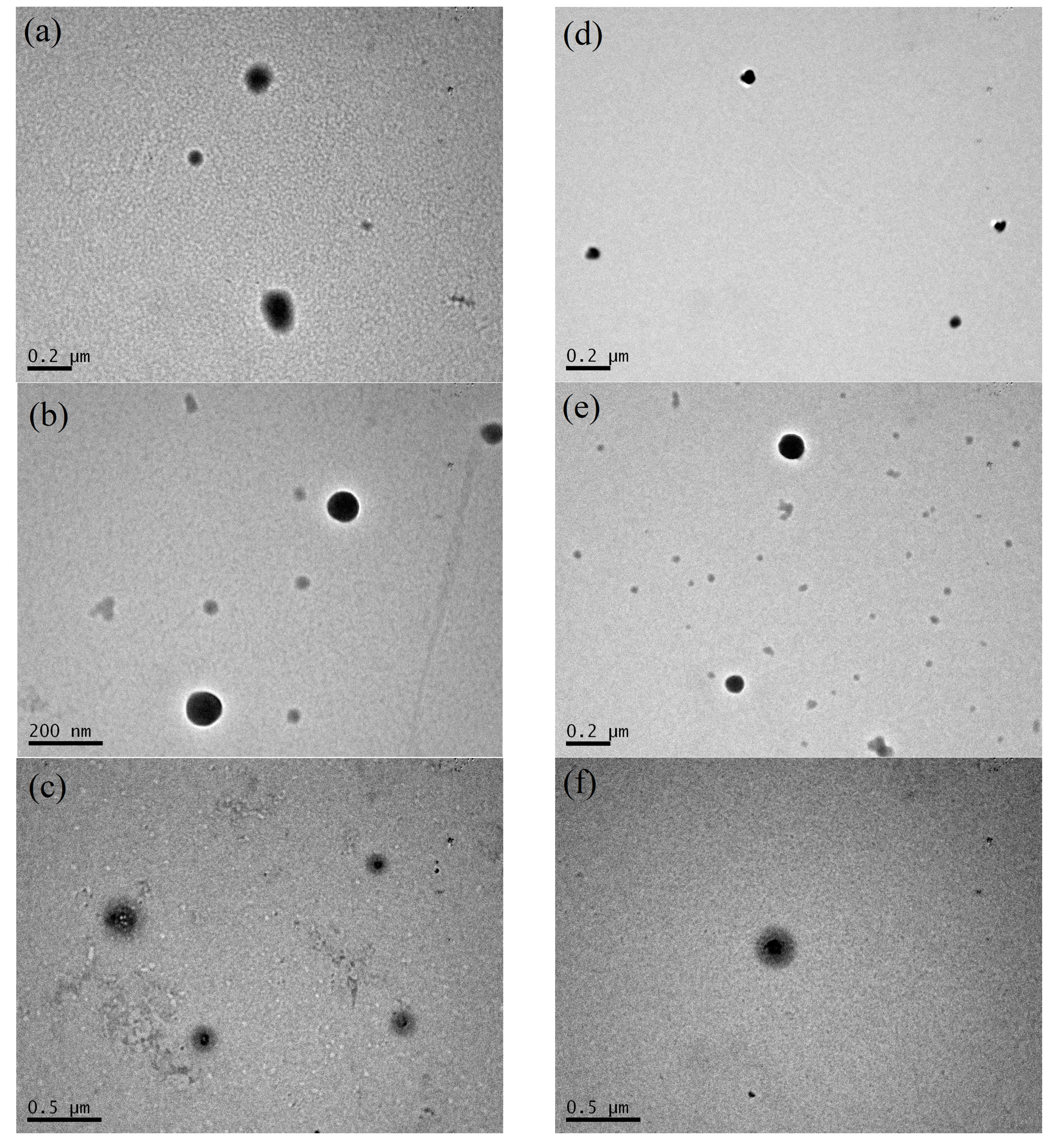 Polymers 16 01995 g006