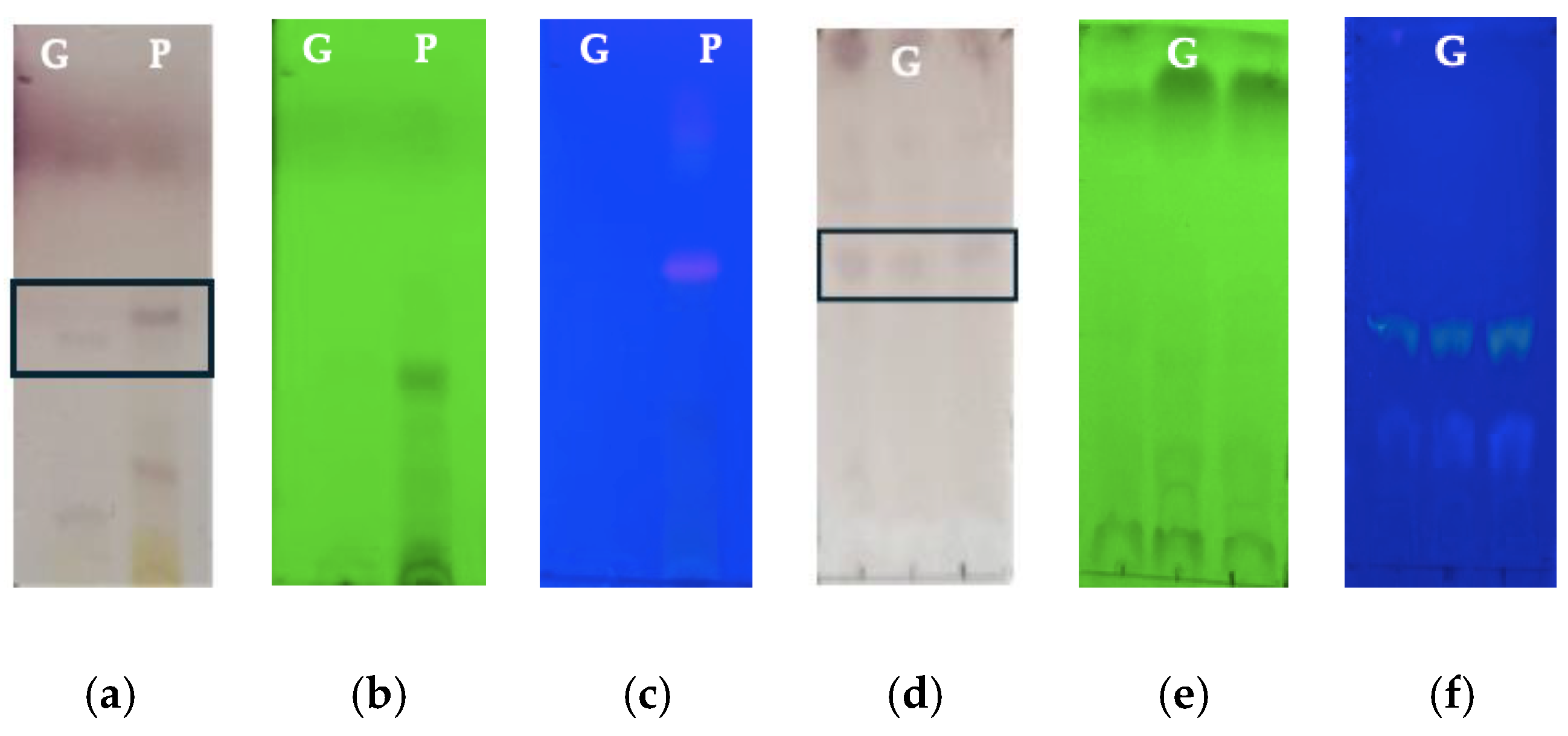 Polymers 16 01998 g001