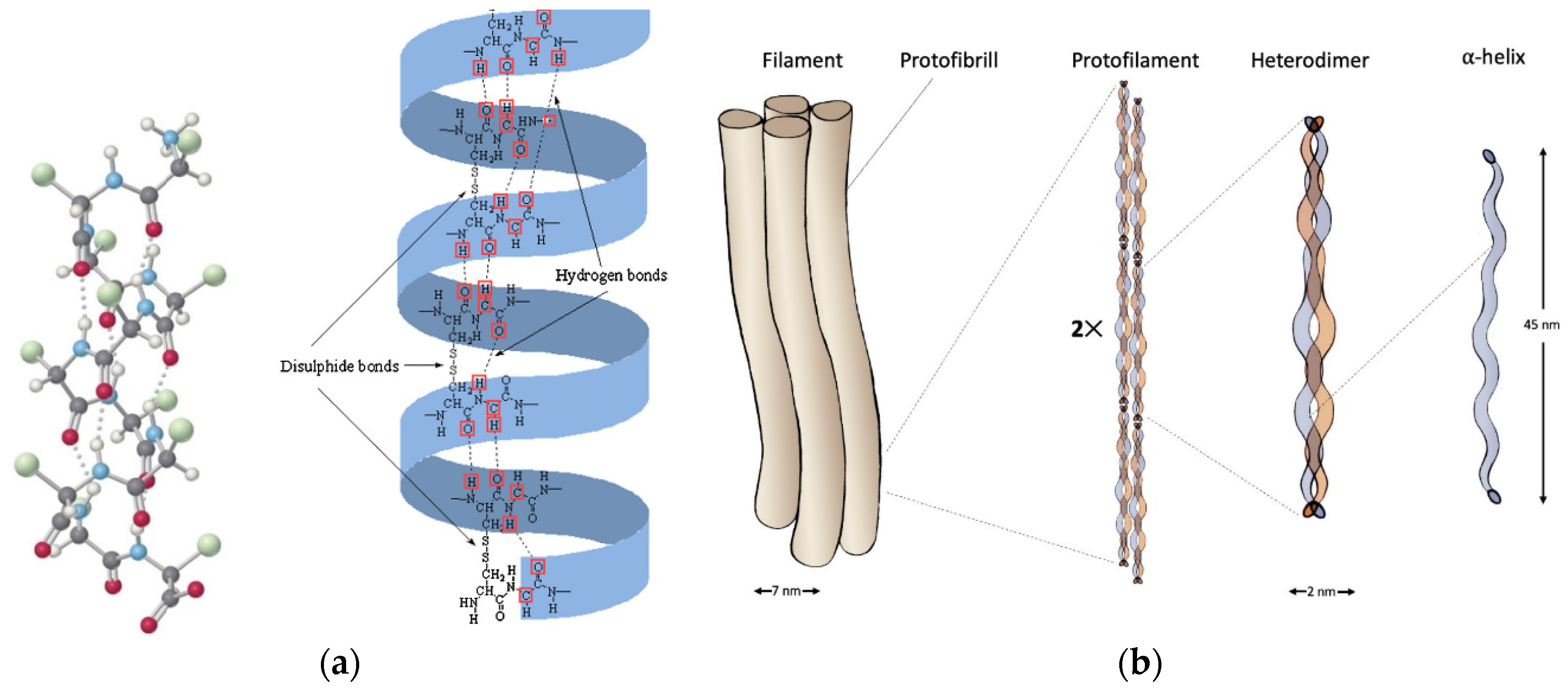Polymers 16 01999 g001