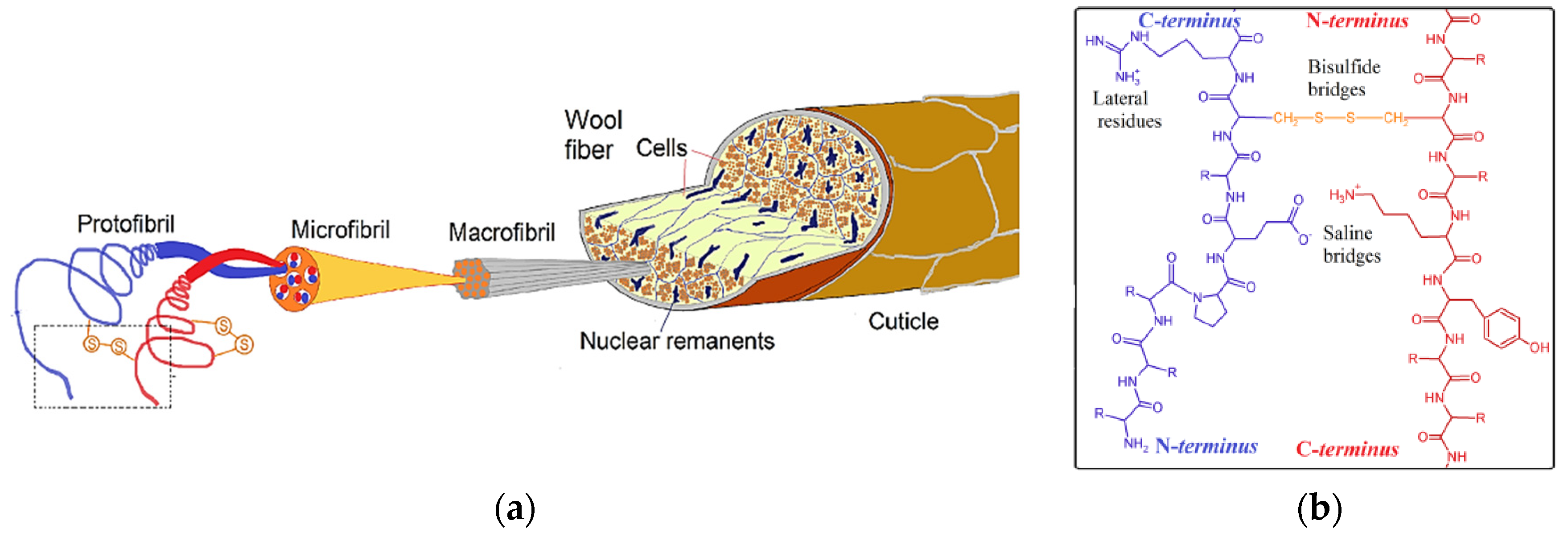 Polymers 16 01999 g003