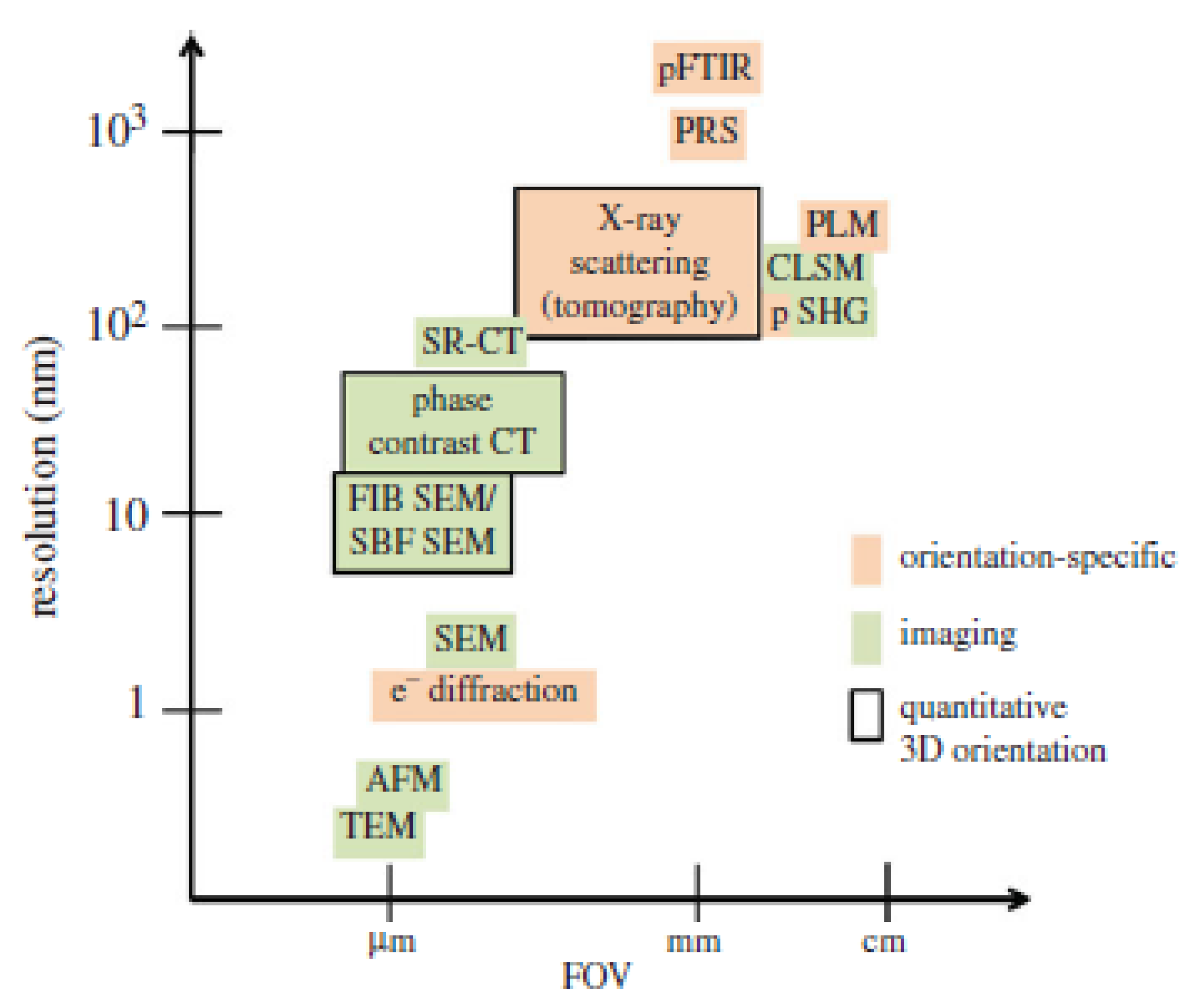 Polymers 16 01999 g006