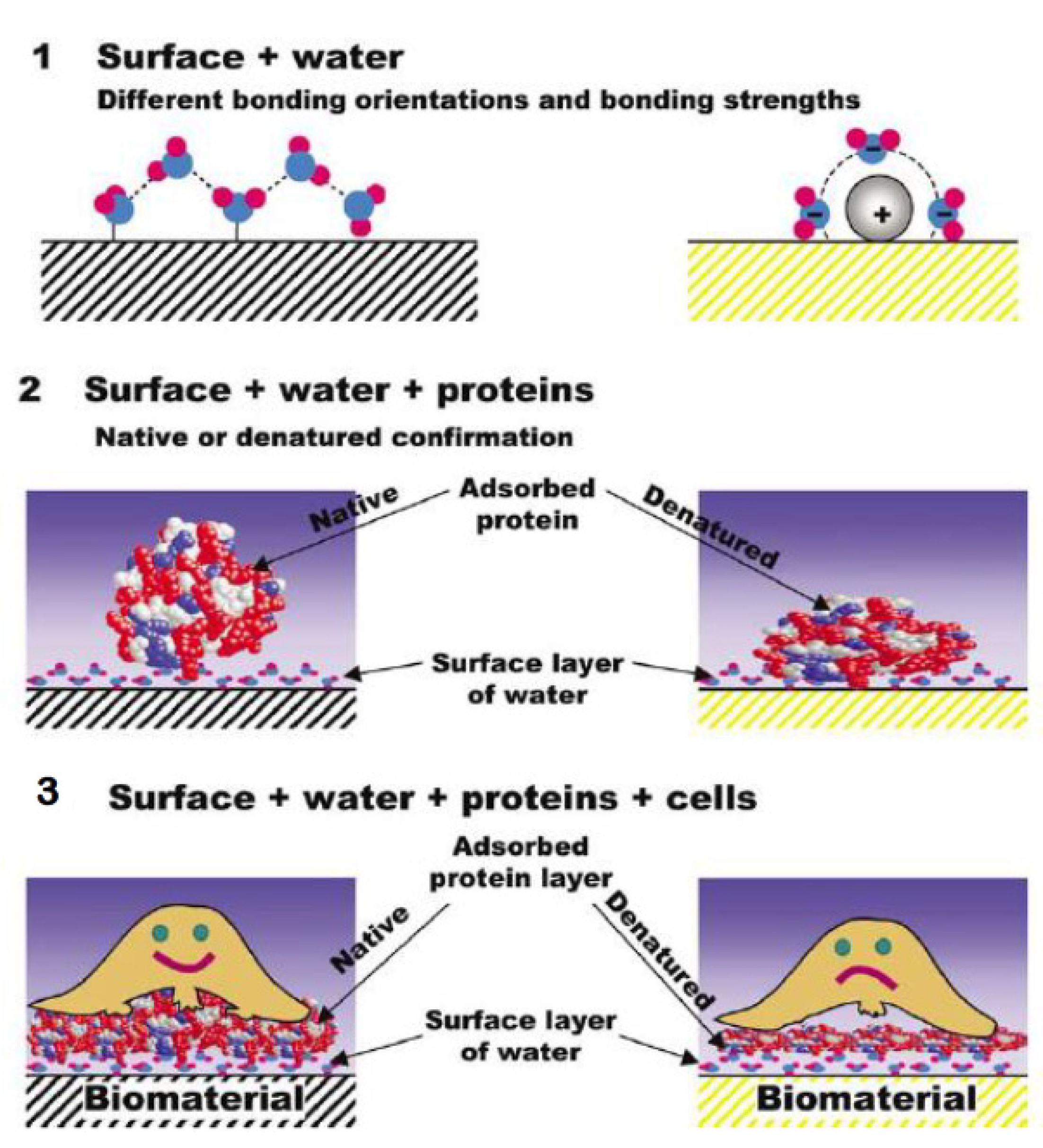 Polymers 16 01999 g008