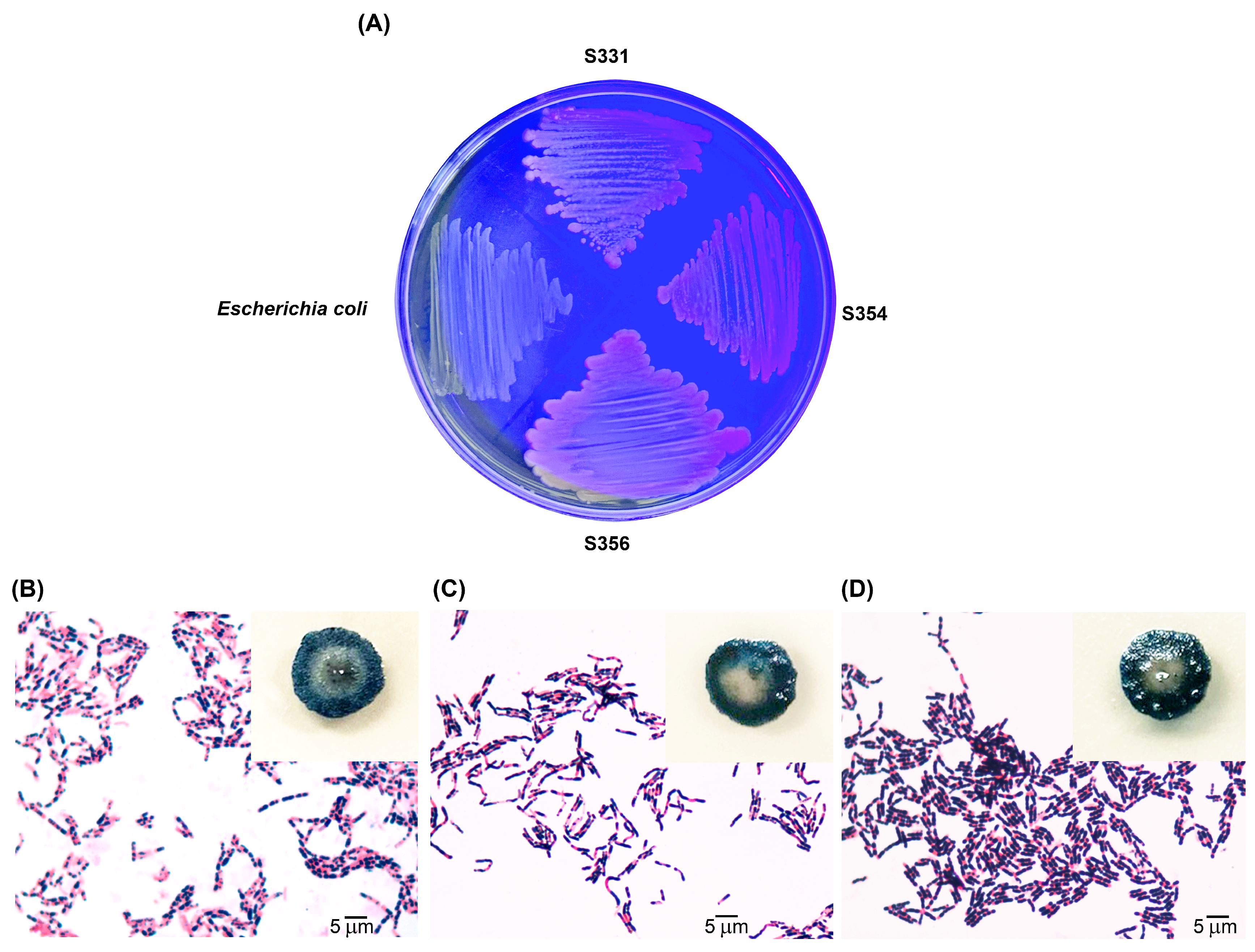 Polymers 16 02015 g001