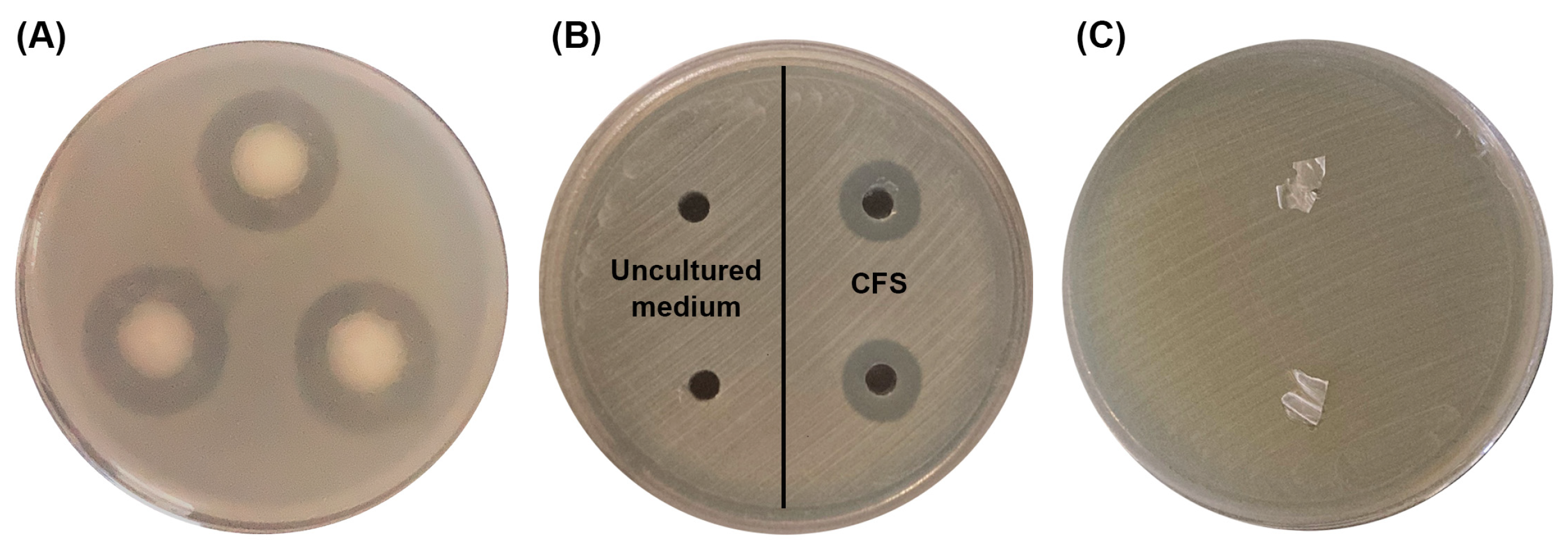 Polymers 16 02015 g006
