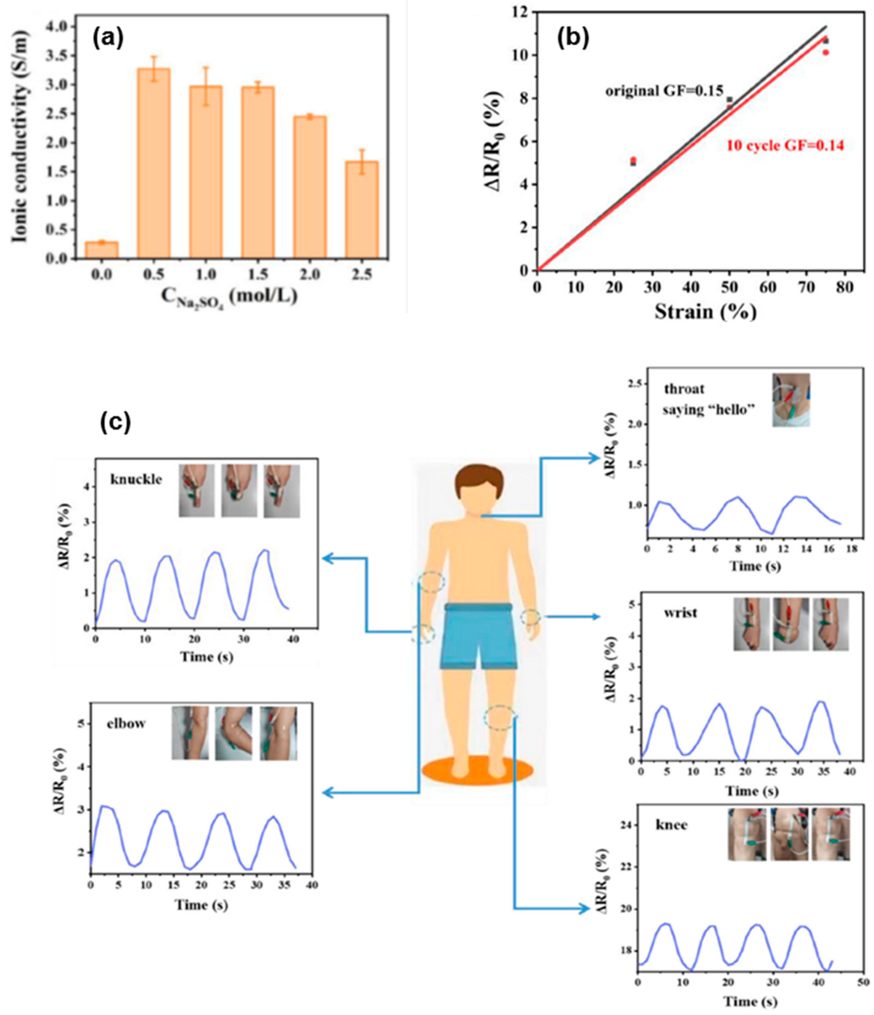 Polymers 16 02021 g016