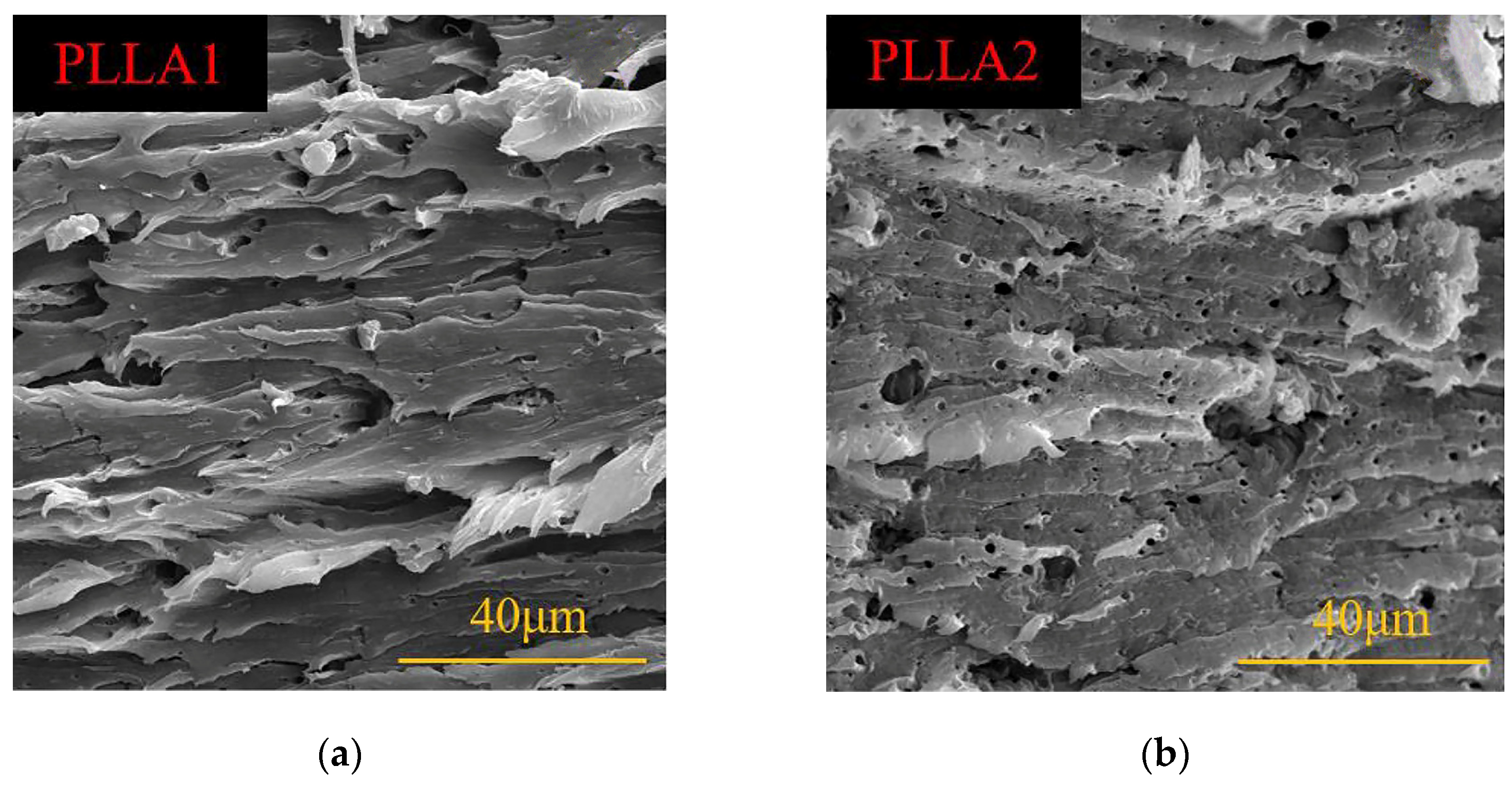 Polymers 16 02025 g007a