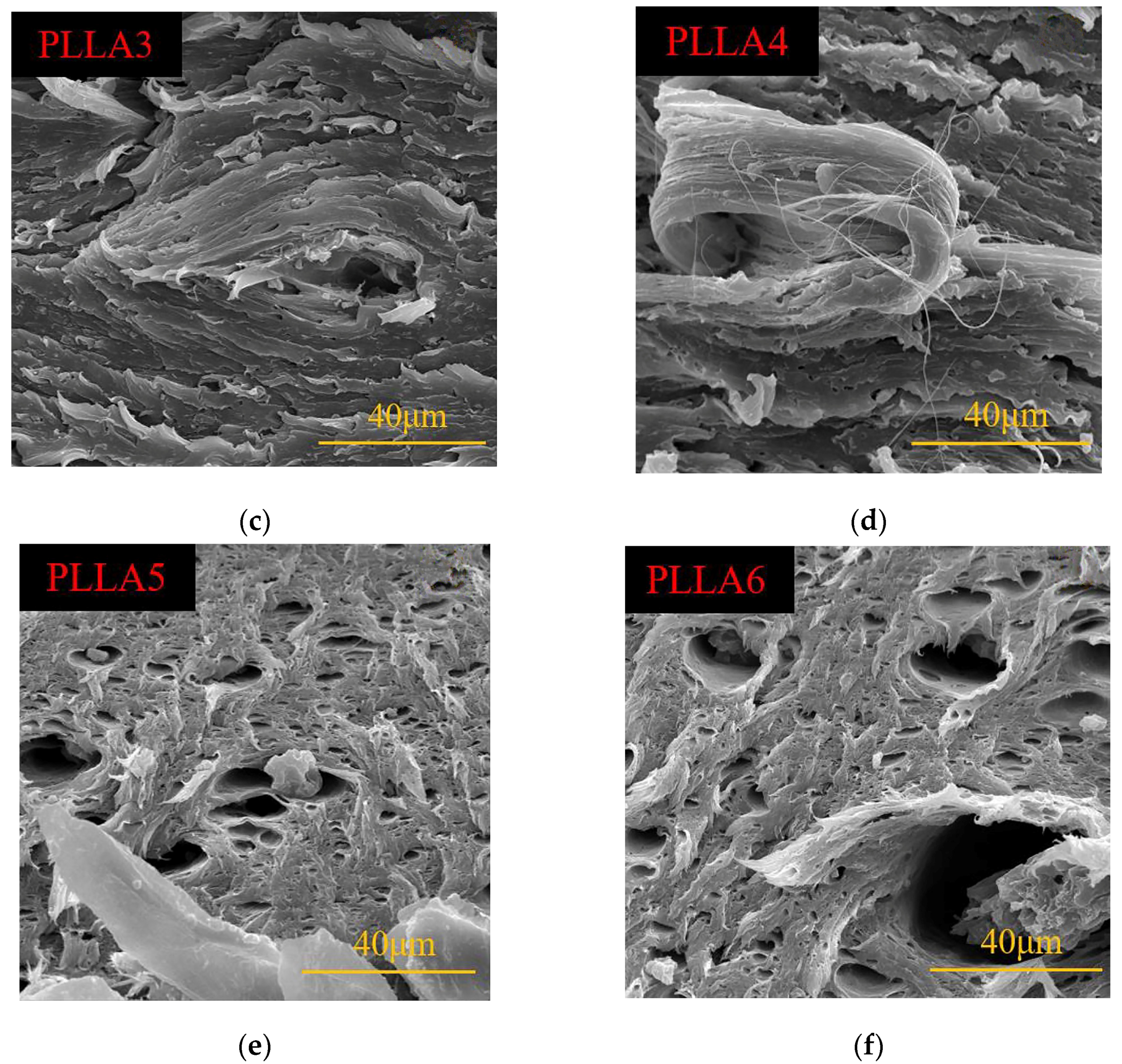 Polymers 16 02025 g007b